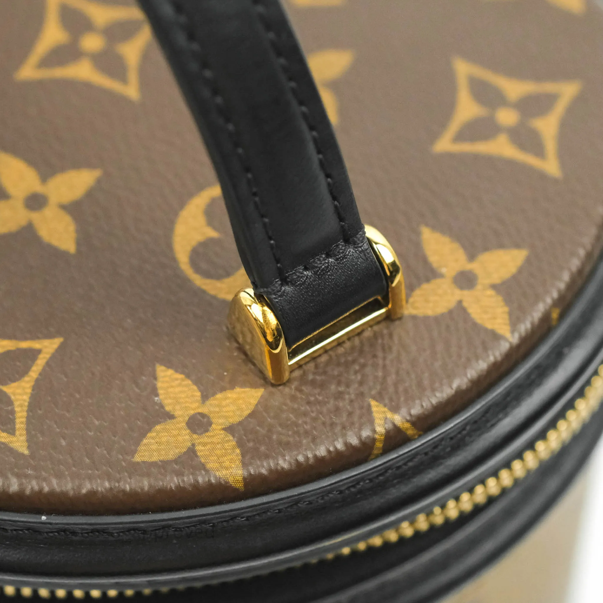 Louis Vuitton Monogram Canvas Reverse Cannes Bag
