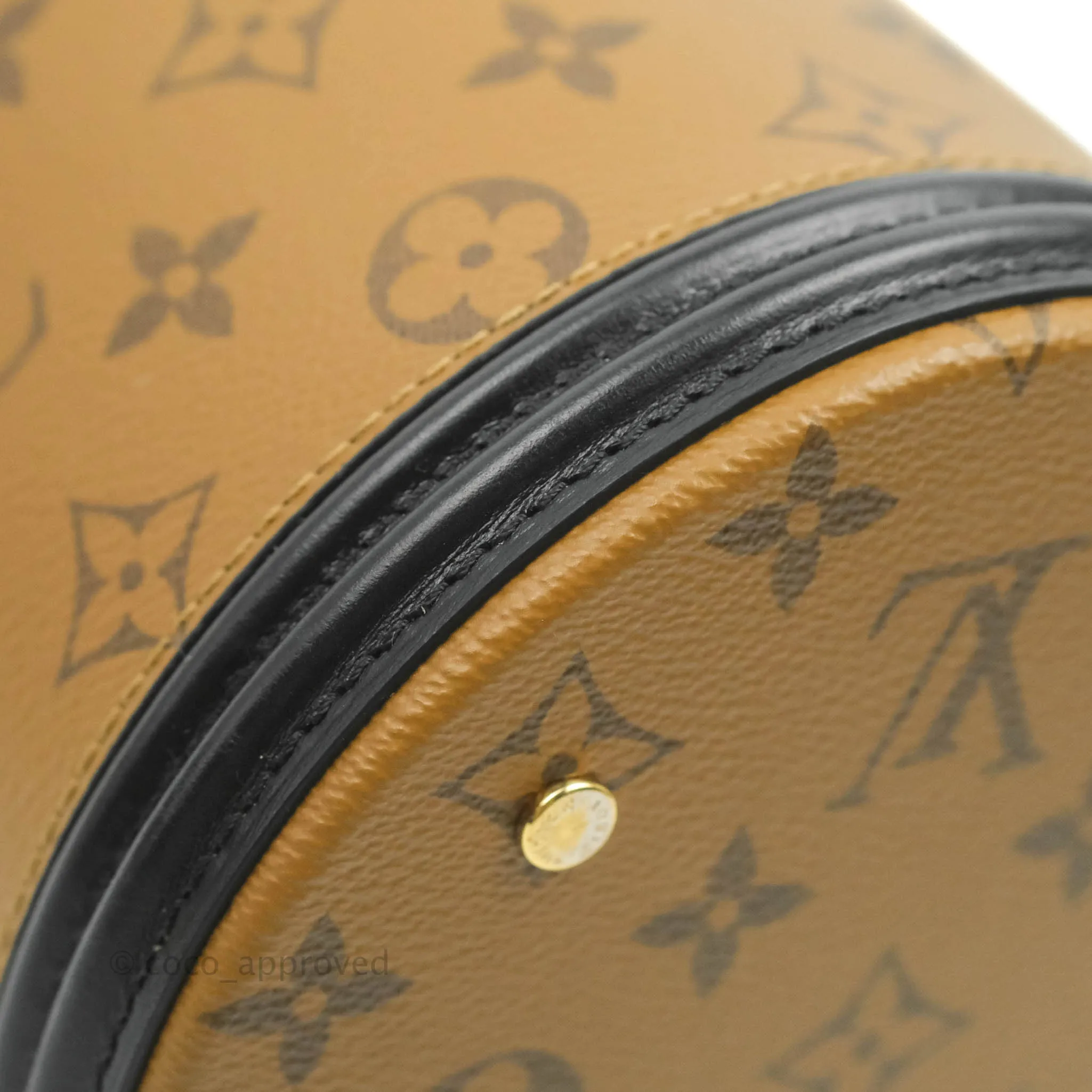 Louis Vuitton Monogram Canvas Reverse Cannes Bag