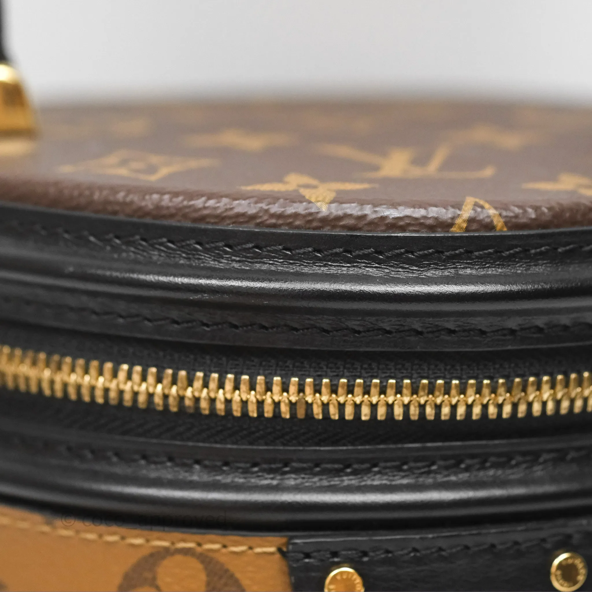 Louis Vuitton Monogram Canvas Reverse Cannes Bag