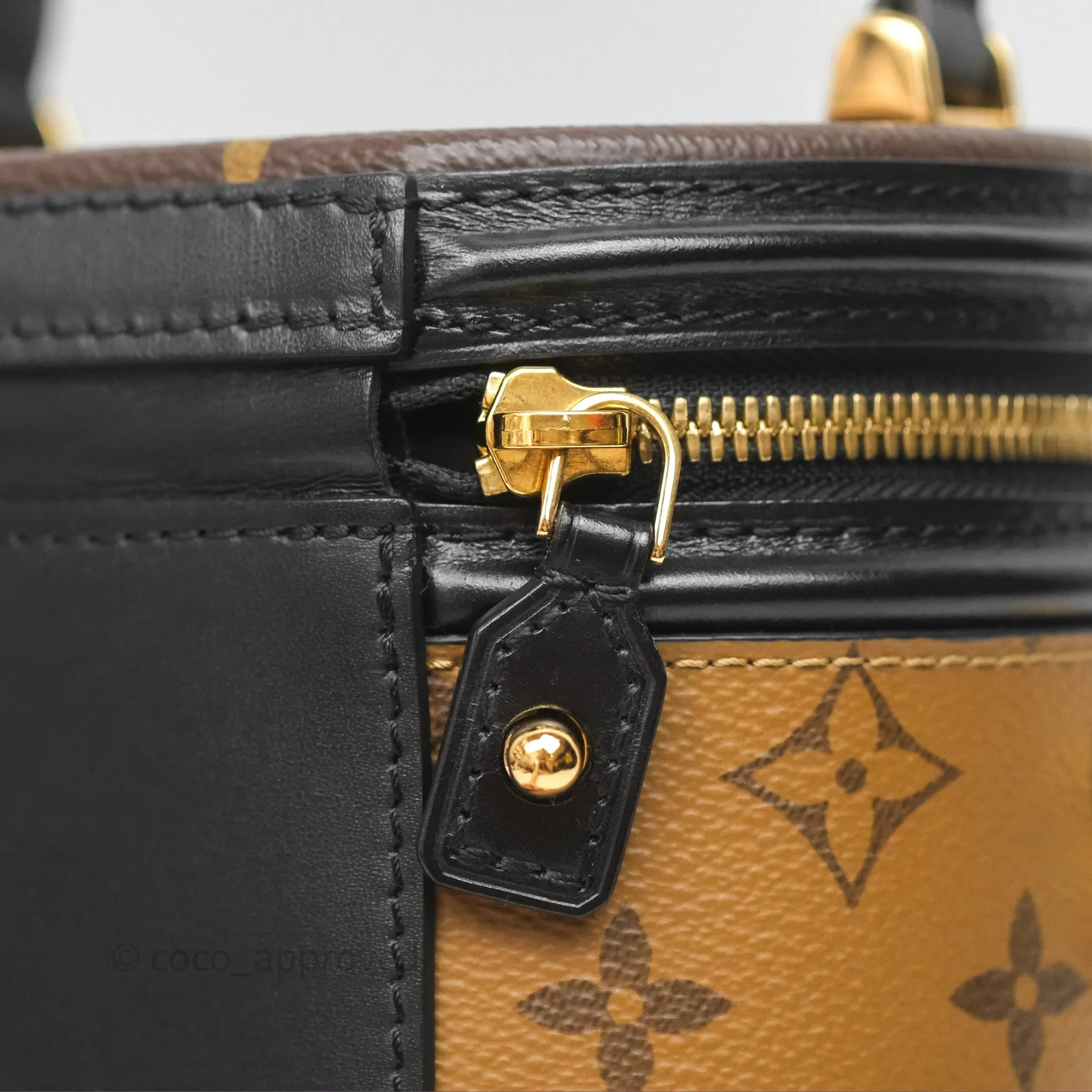 Louis Vuitton Monogram Canvas Reverse Cannes Bag