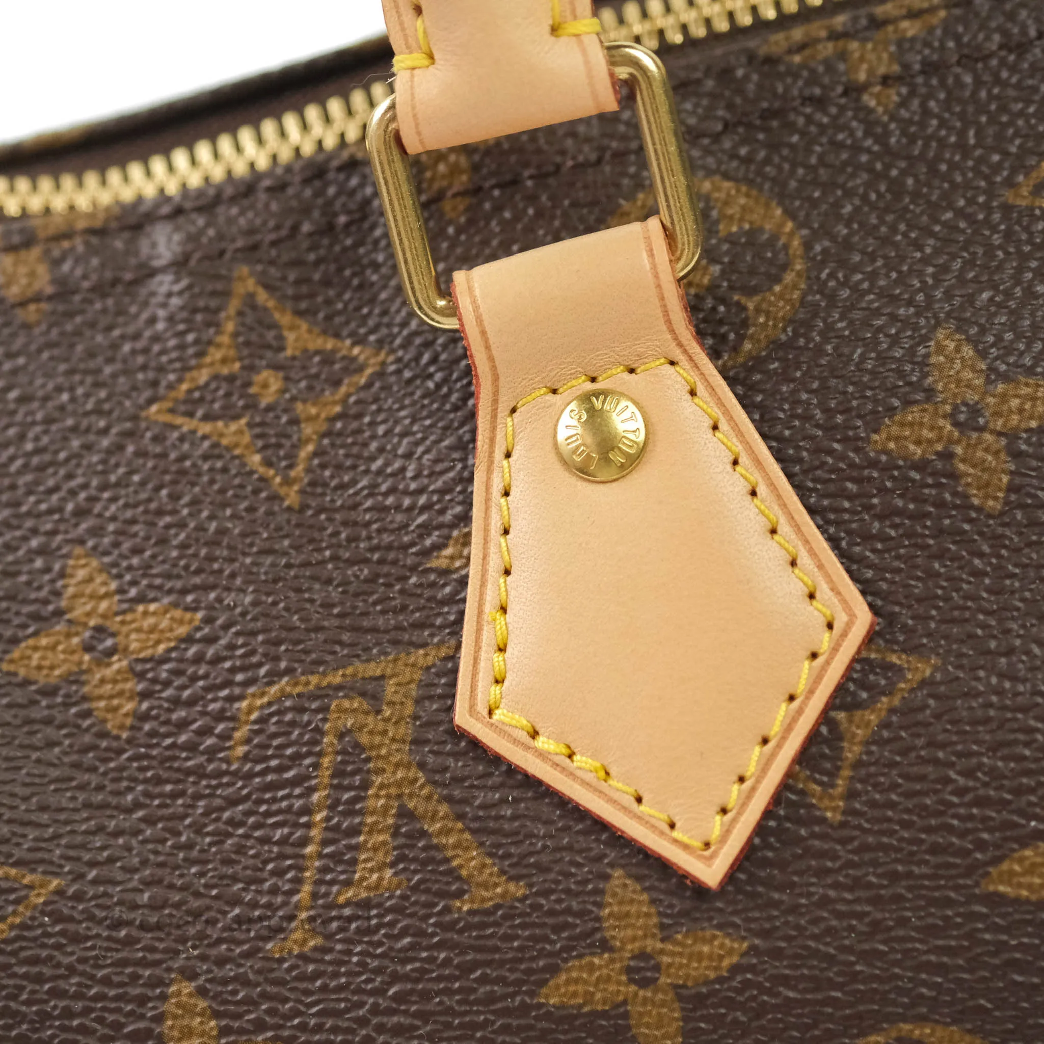 Louis Vuitton Monogram Canvas Speedy 25