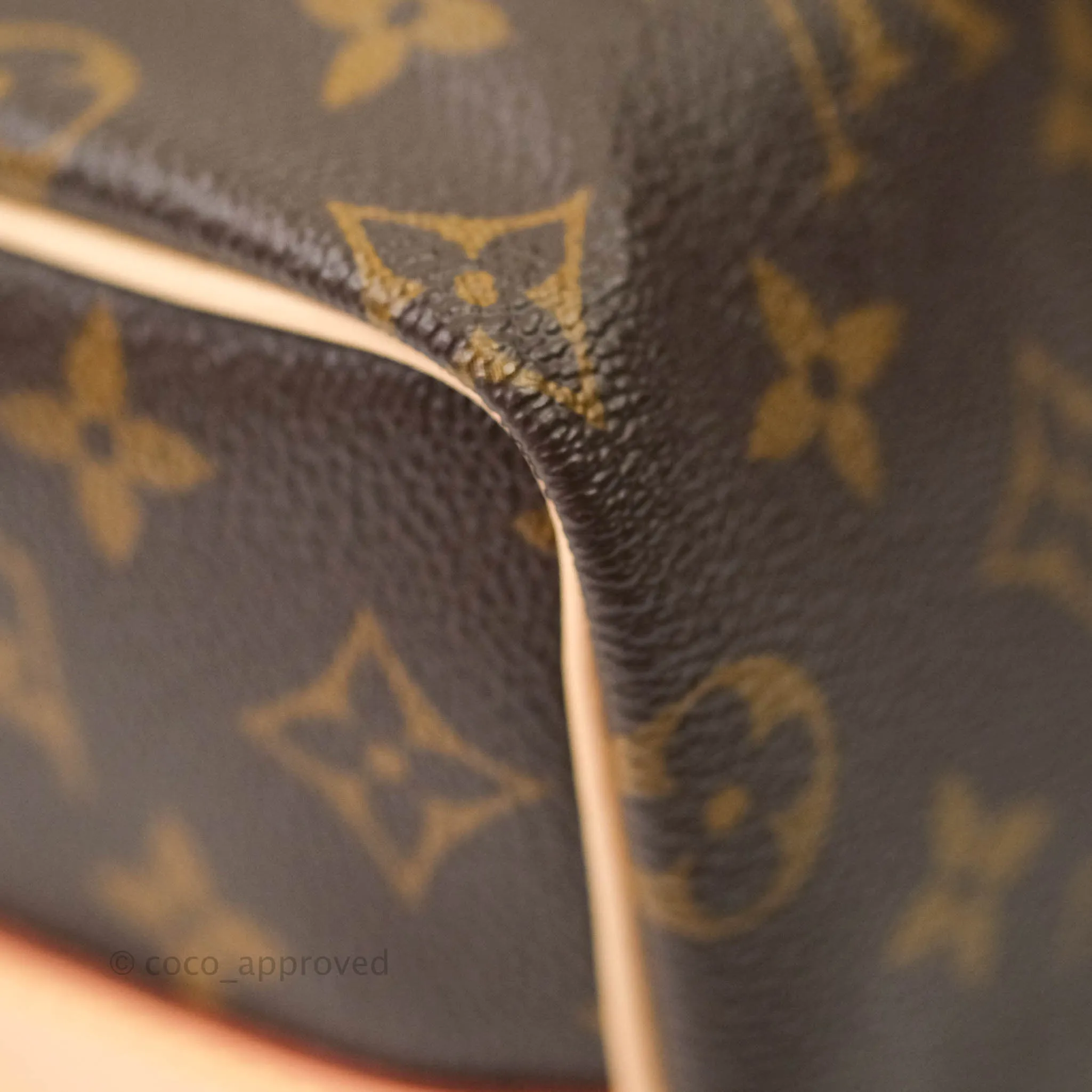 Louis Vuitton Monogram Canvas Speedy 25