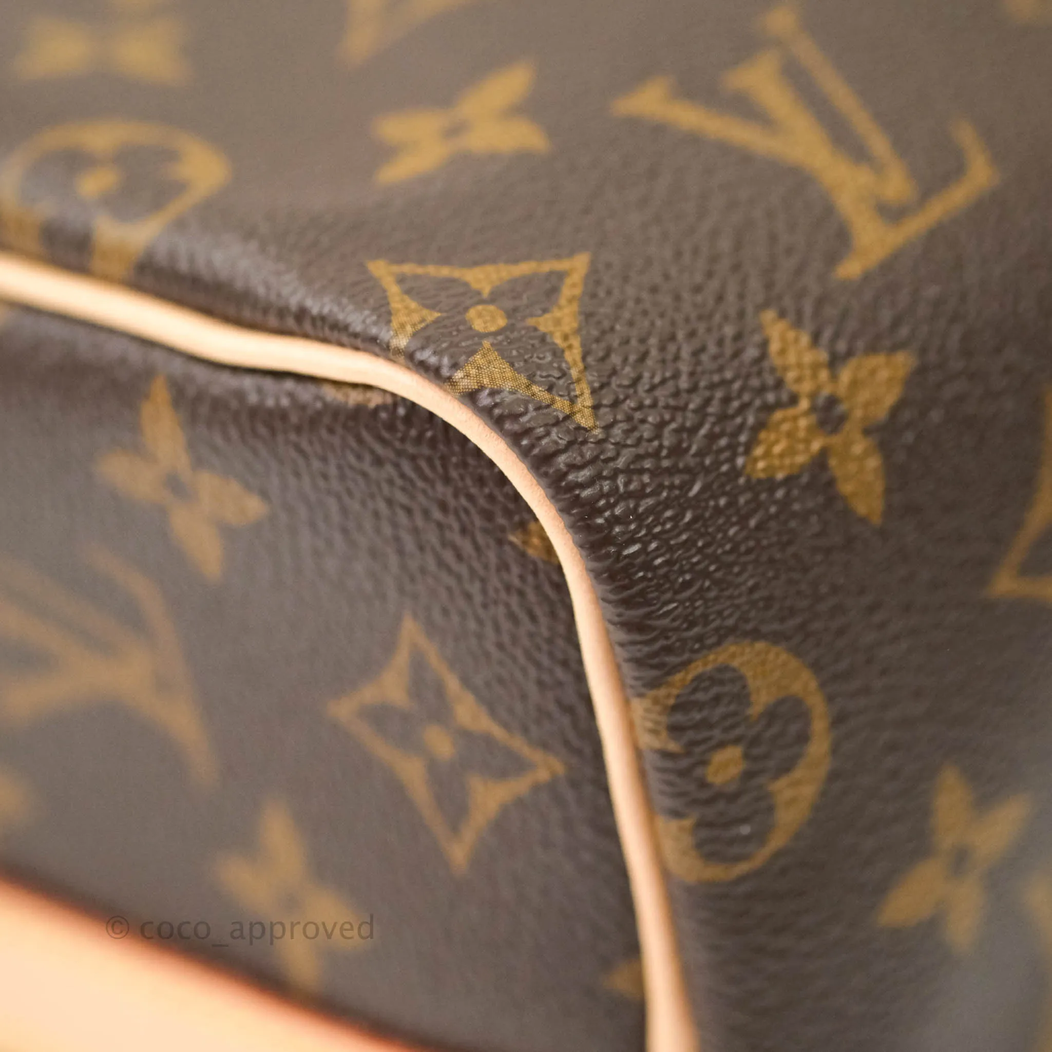 Louis Vuitton Monogram Canvas Speedy 25