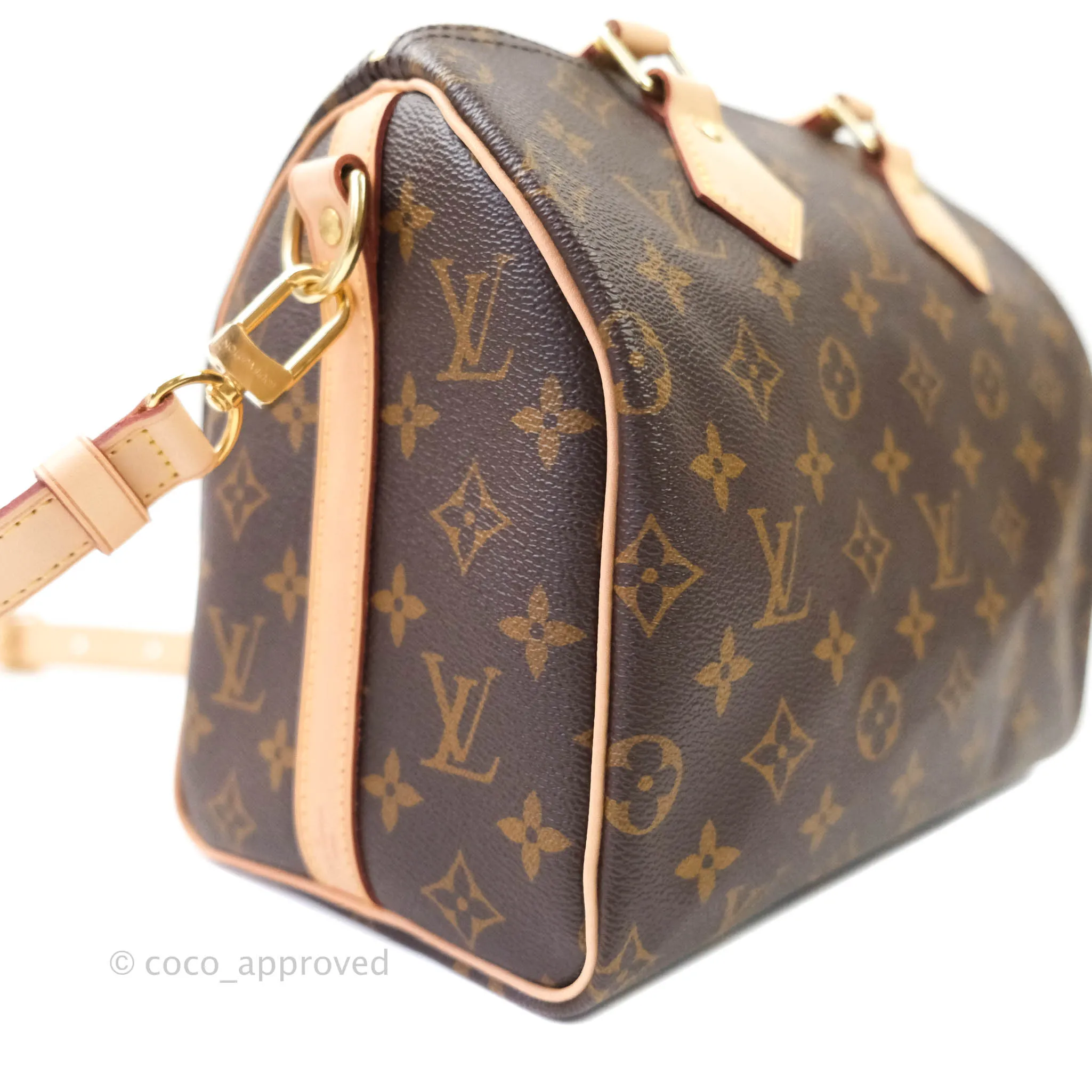Louis Vuitton Monogram Canvas Speedy 25