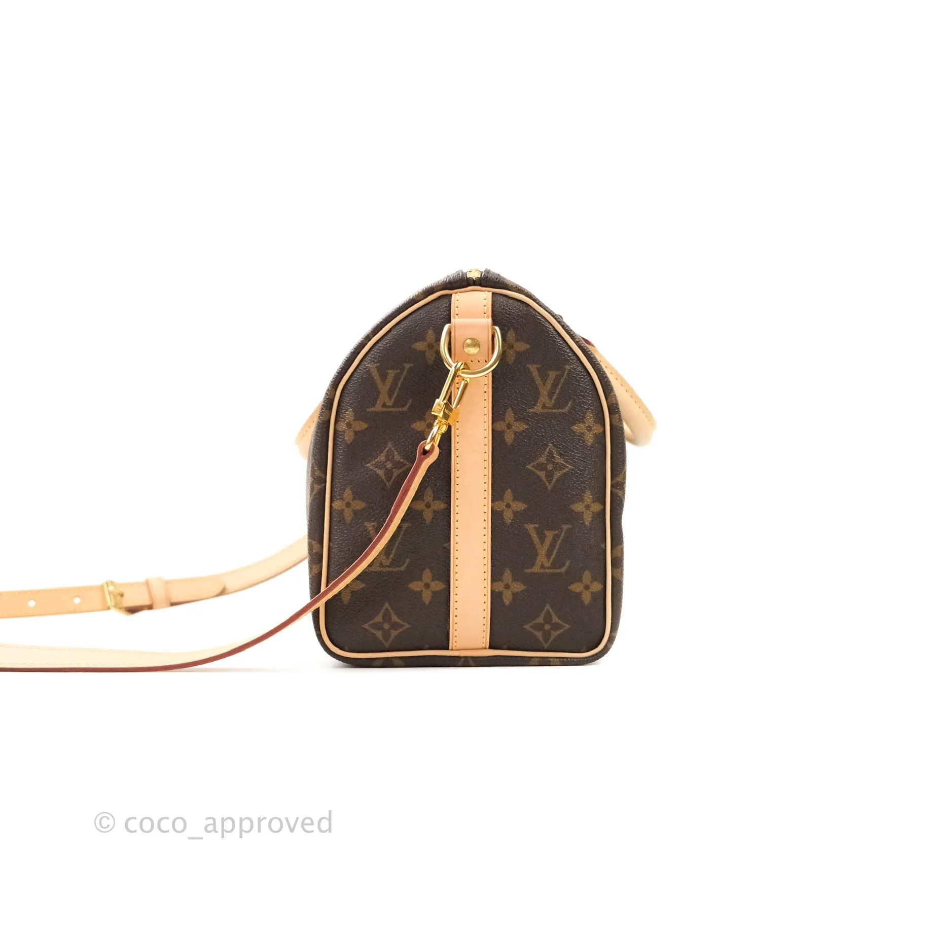 Louis Vuitton Monogram Canvas Speedy 25