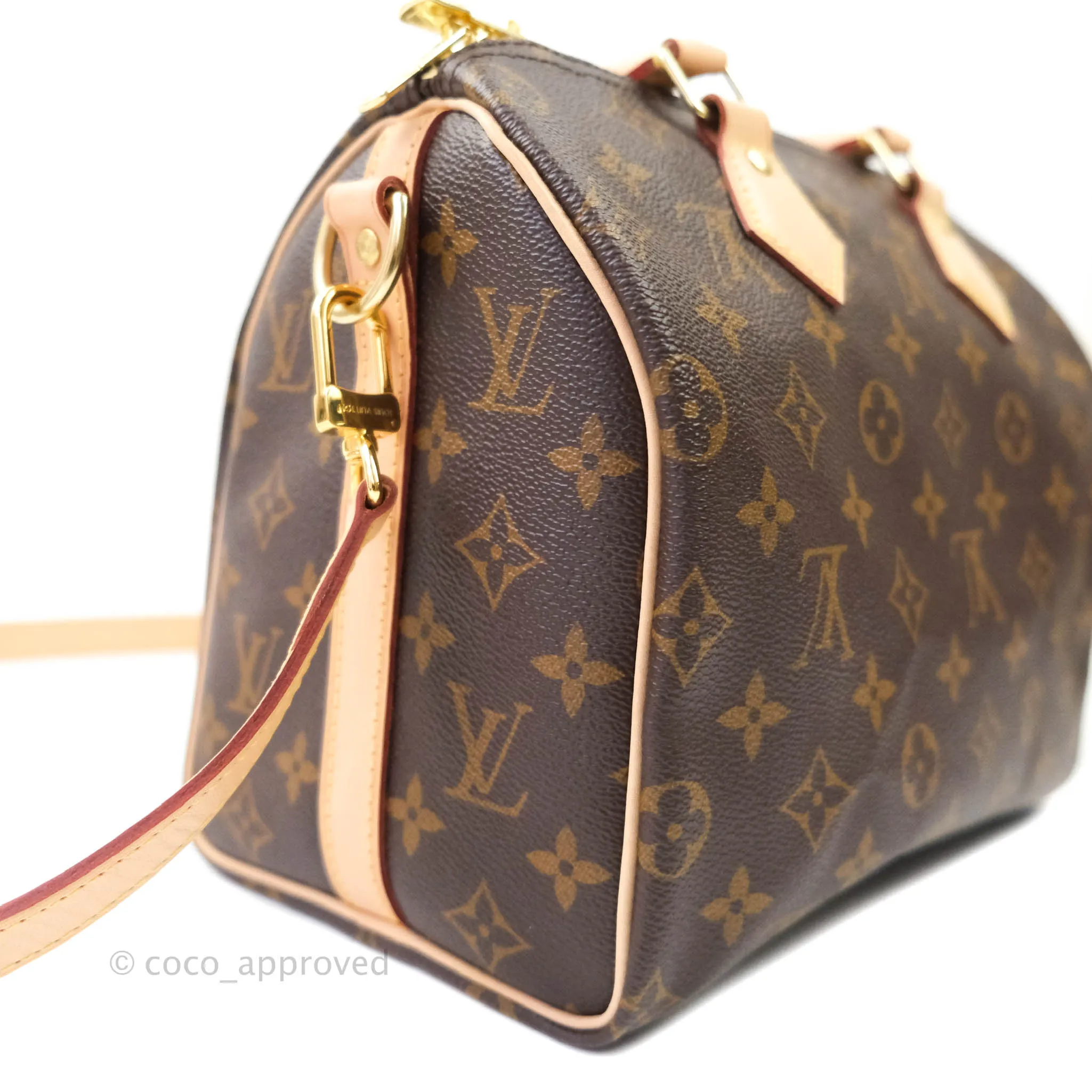 Louis Vuitton Monogram Canvas Speedy 25