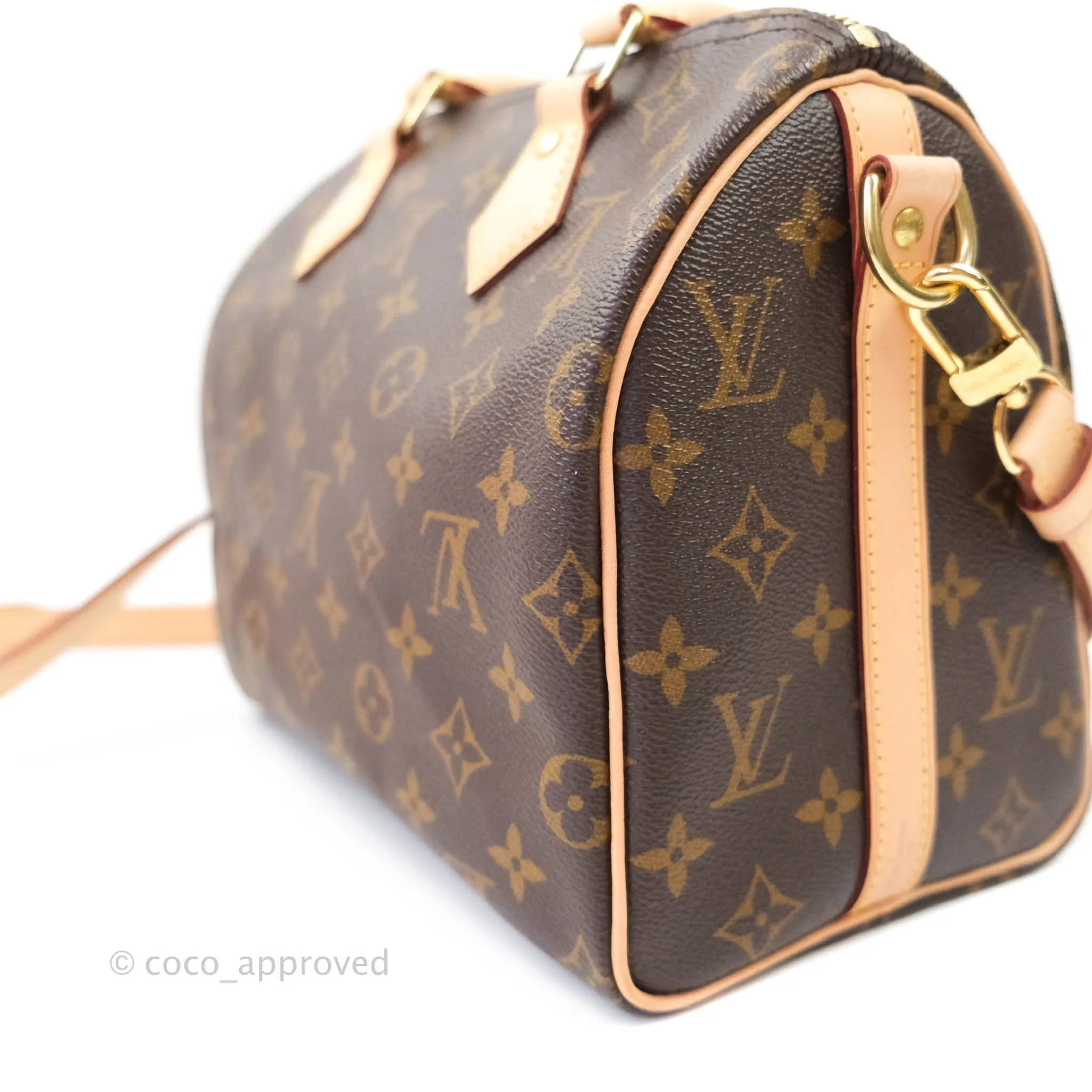 Louis Vuitton Monogram Canvas Speedy 25