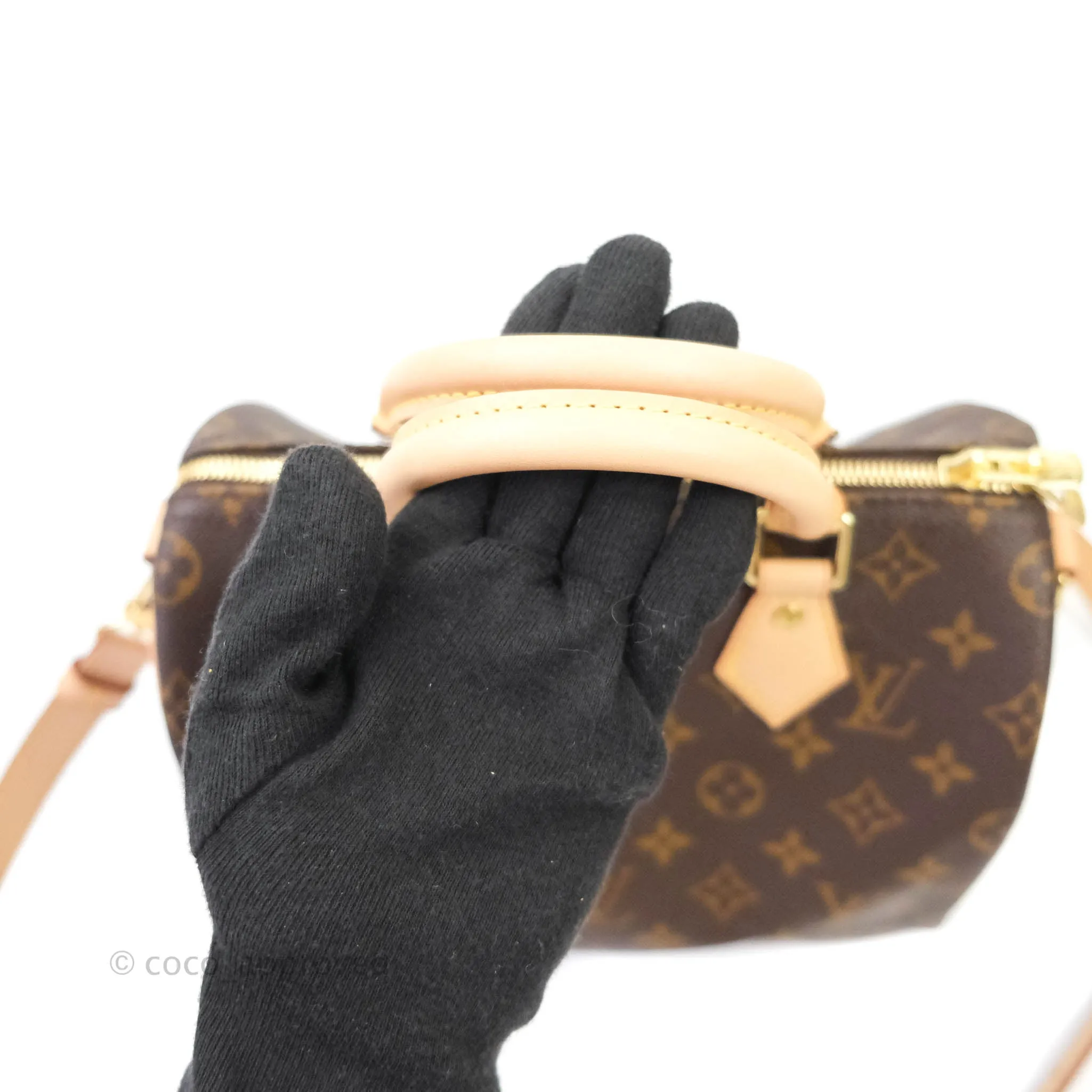Louis Vuitton Monogram Canvas Speedy 25