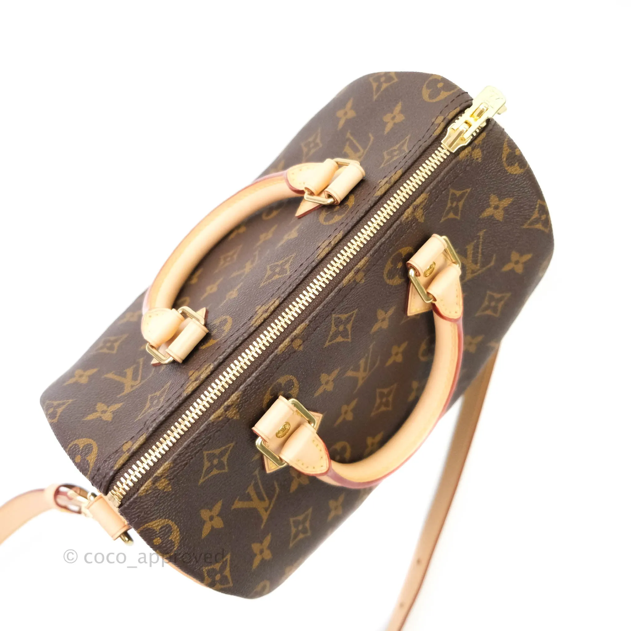 Louis Vuitton Monogram Canvas Speedy 25