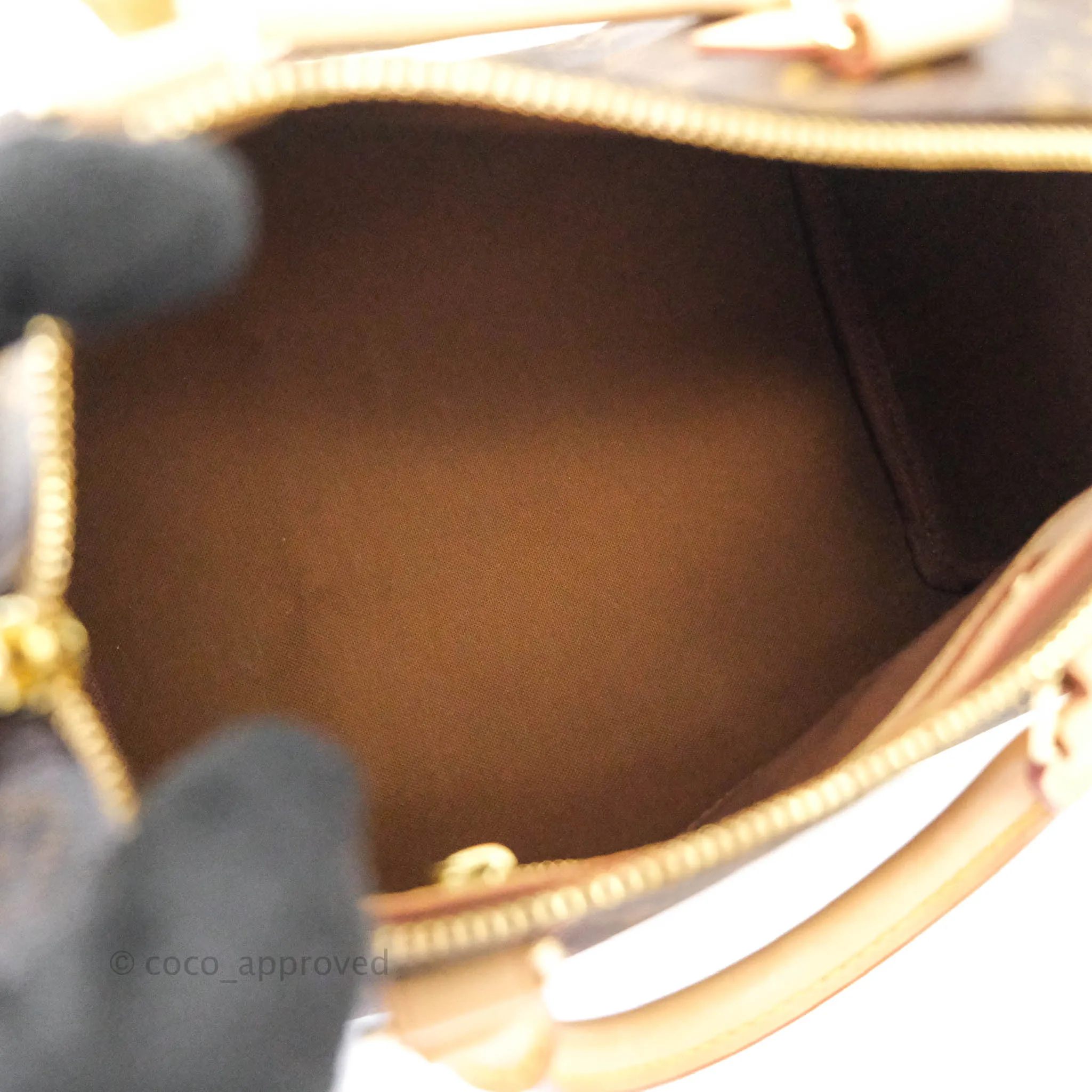 Louis Vuitton Monogram Canvas Speedy 25