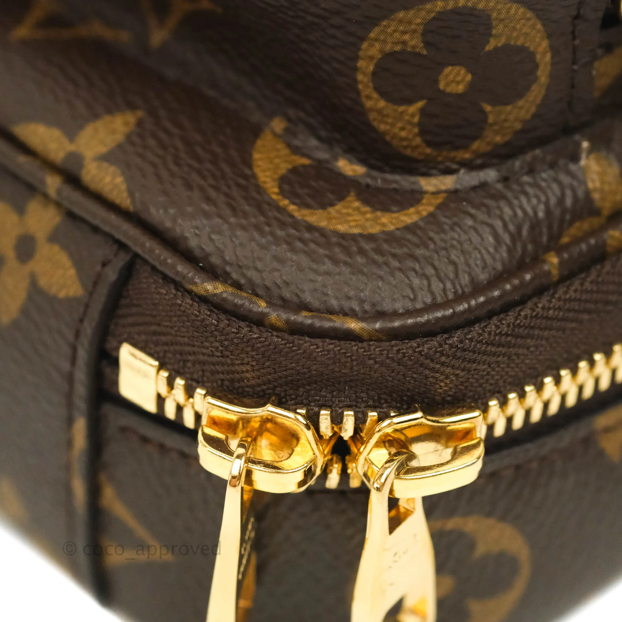 Louis Vuitton Monogram Canvas Utility Crossbody Bag