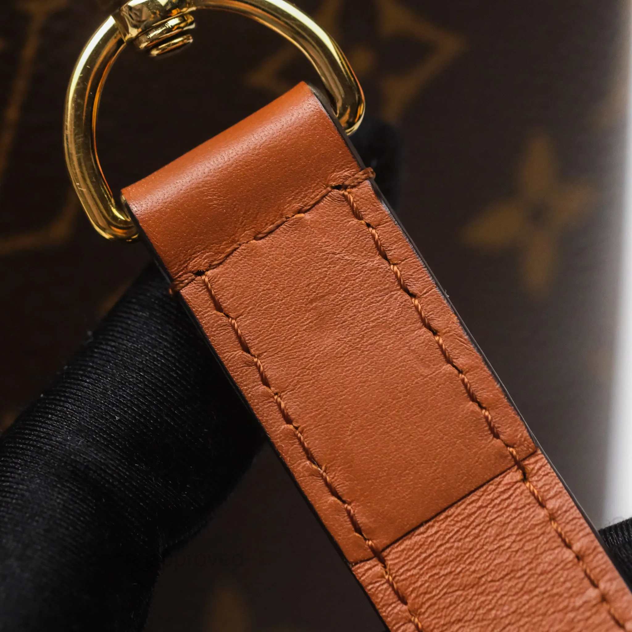 Louis Vuitton Monogram Dauphine Backpack