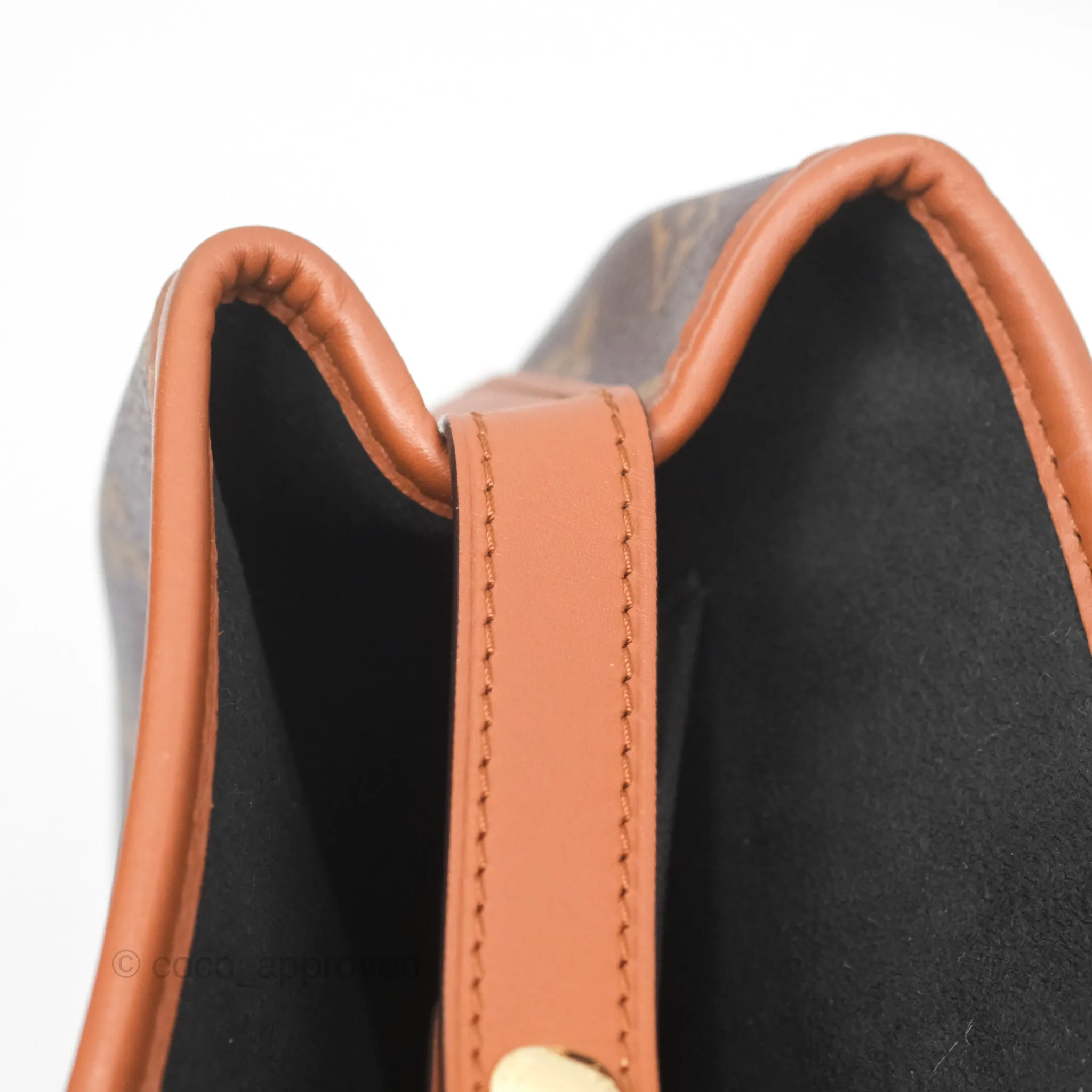 Louis Vuitton Monogram Dauphine Backpack