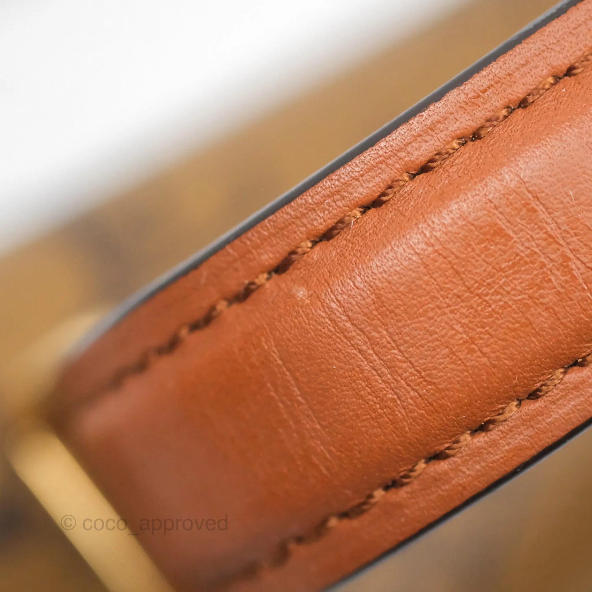 Louis Vuitton Monogram Dauphine Backpack