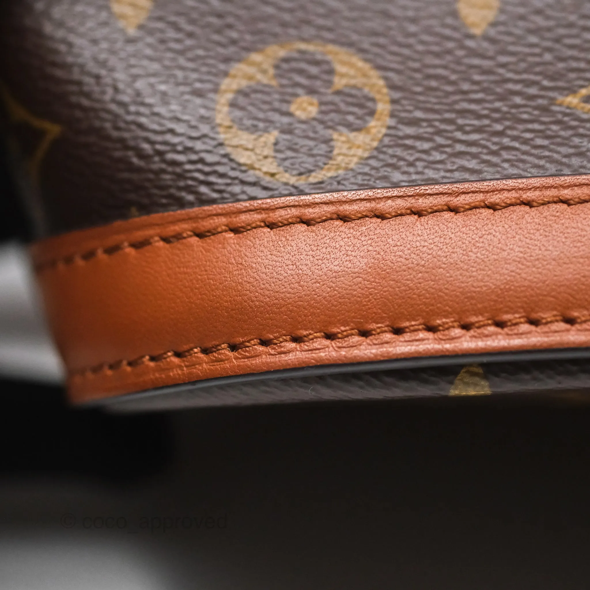 Louis Vuitton Monogram Dauphine Backpack