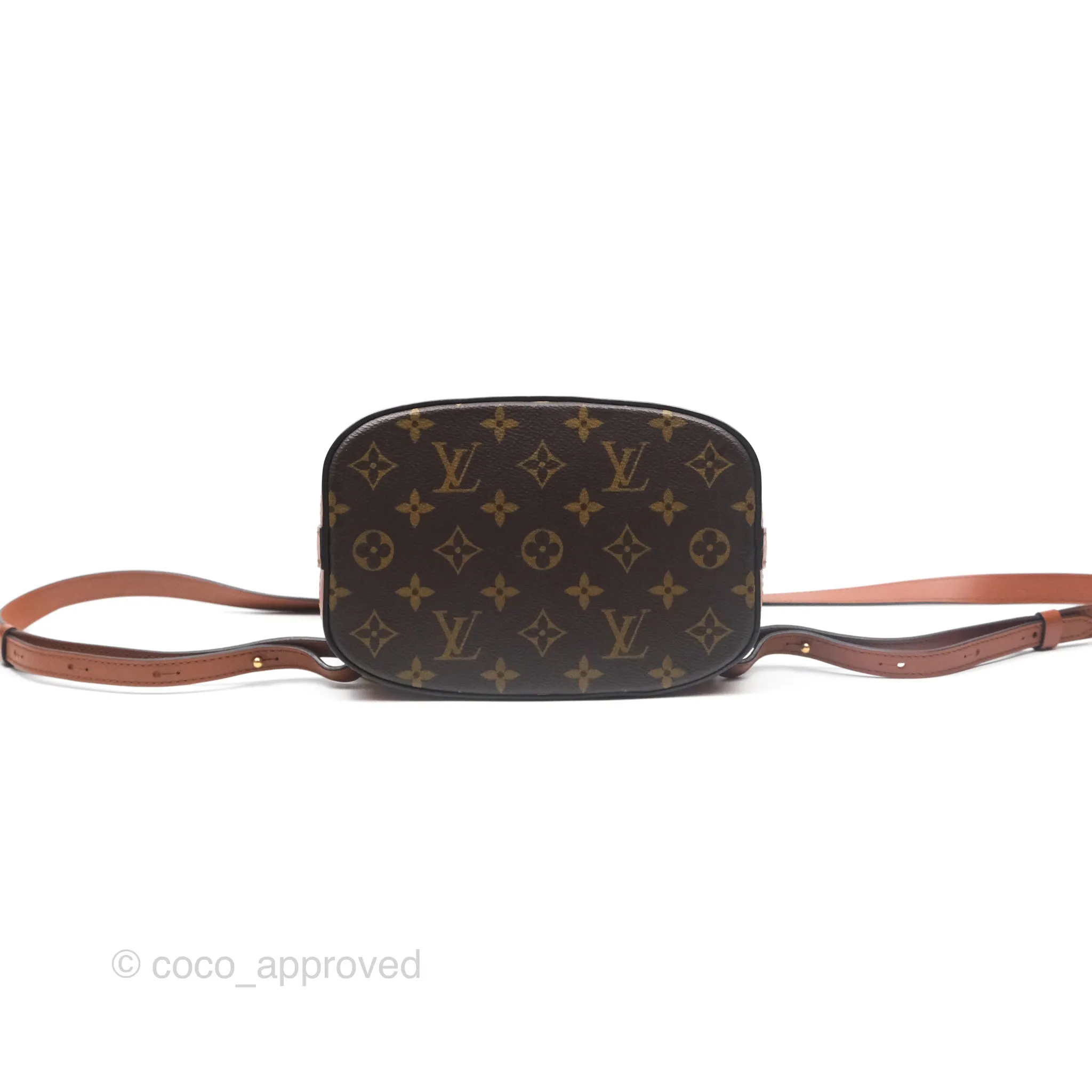 Louis Vuitton Monogram Dauphine Backpack
