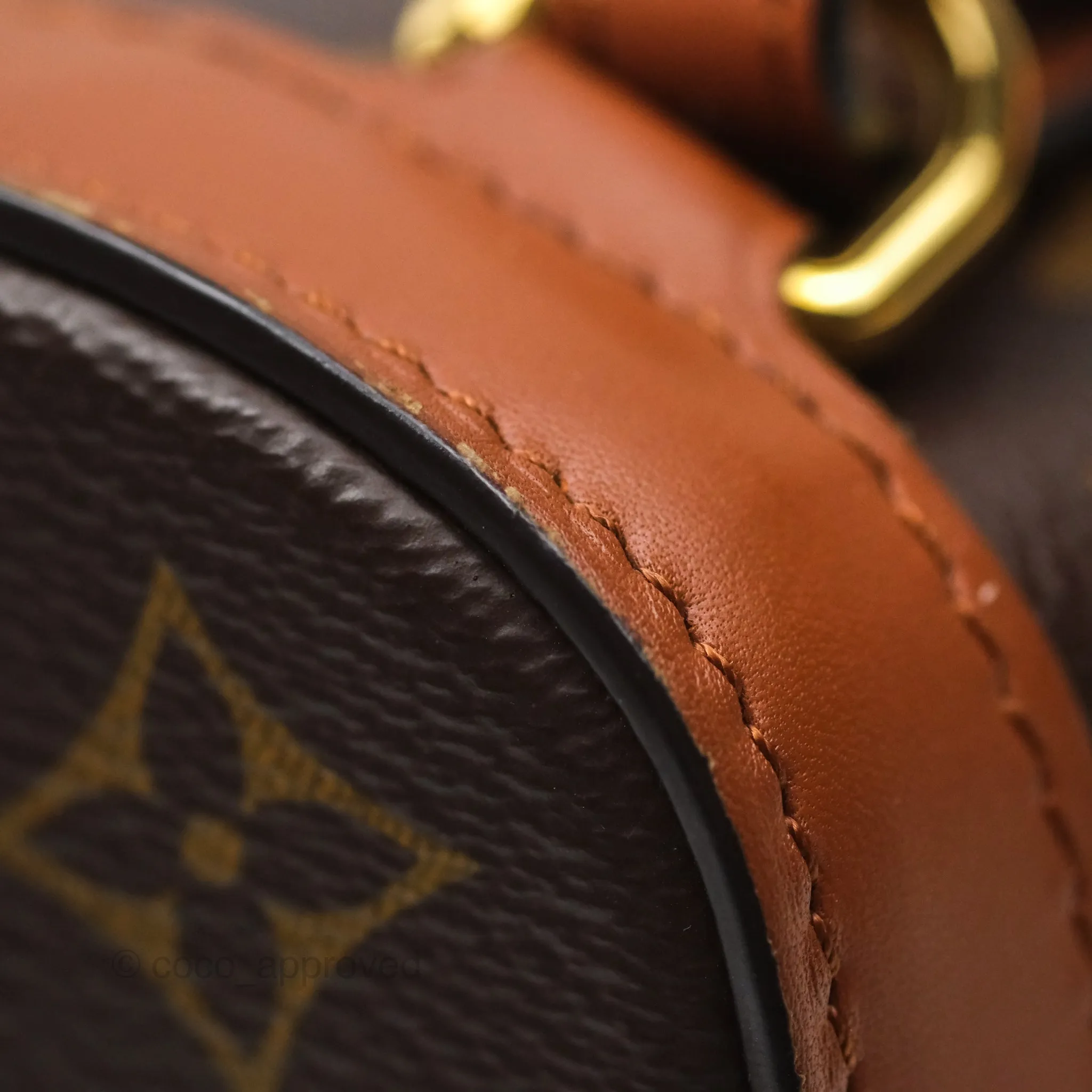 Louis Vuitton Monogram Dauphine Backpack