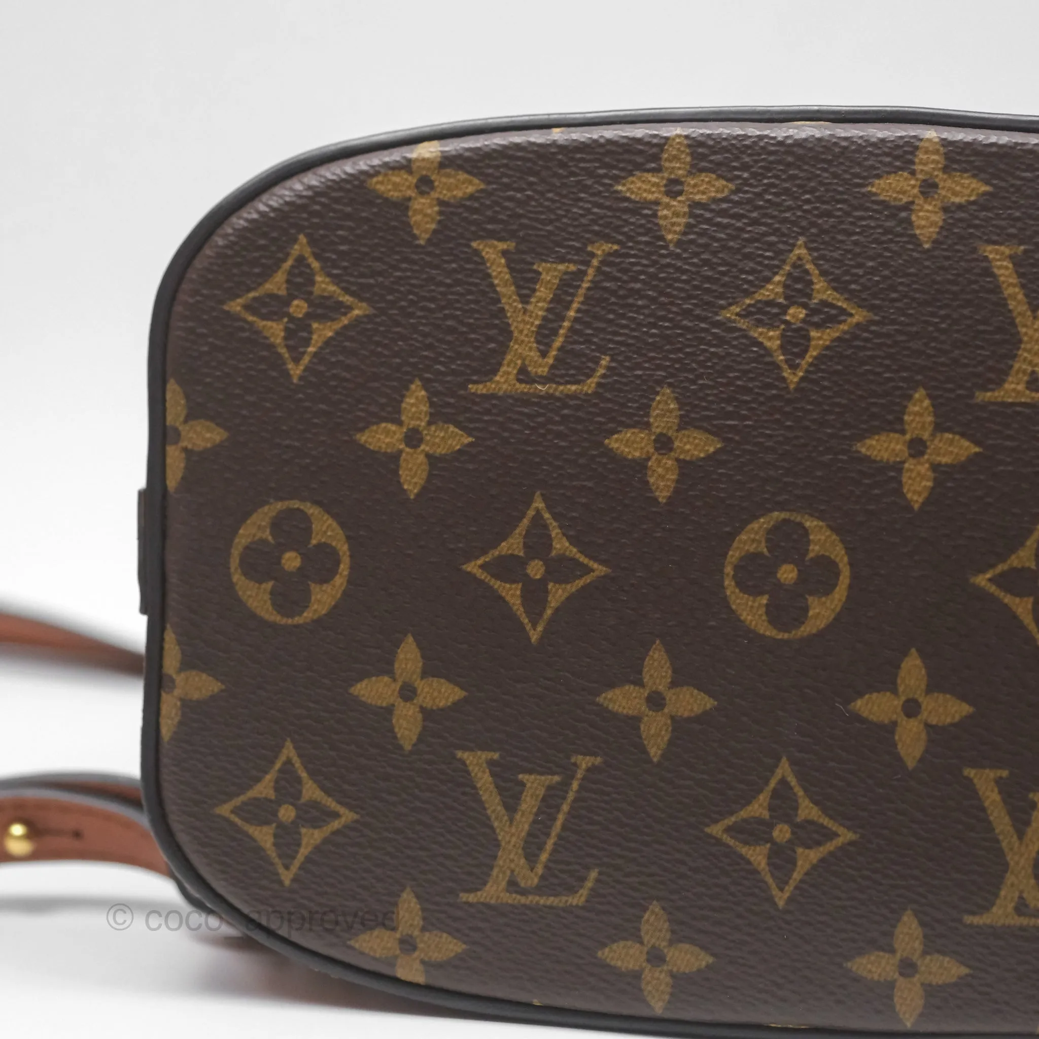 Louis Vuitton Monogram Dauphine Backpack