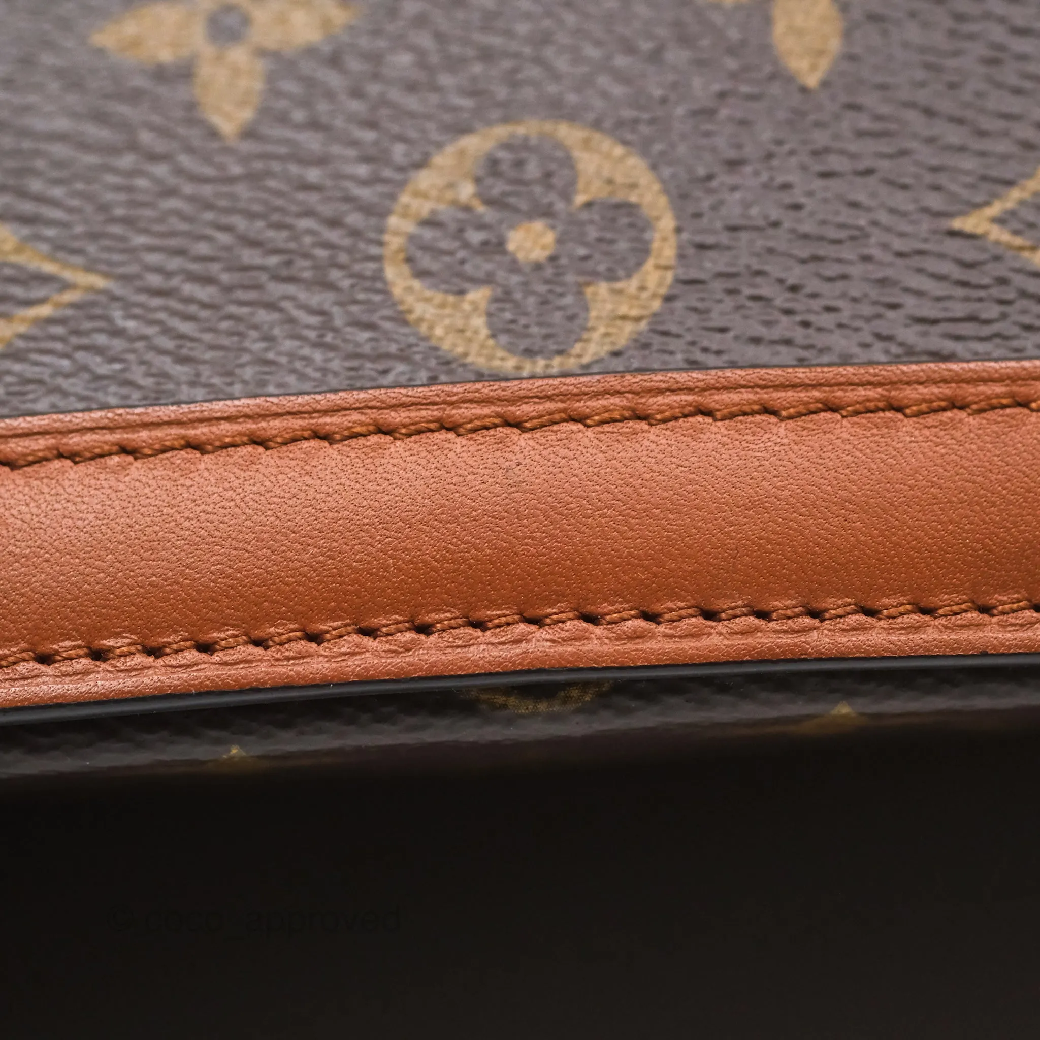 Louis Vuitton Monogram Dauphine Backpack