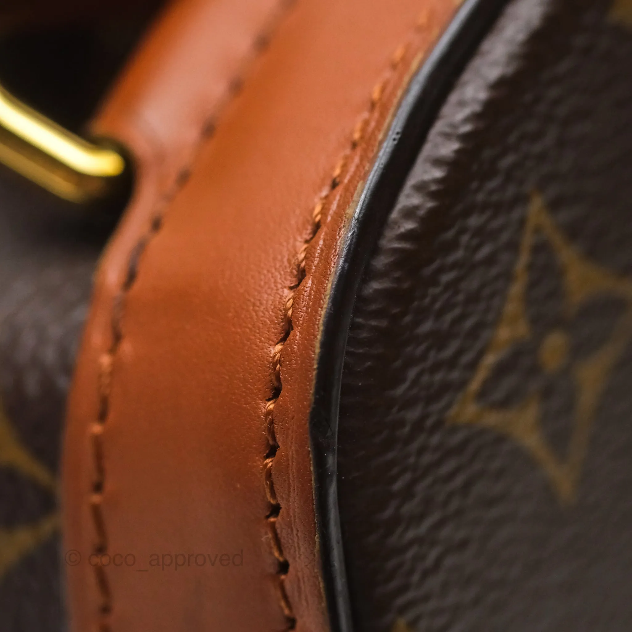 Louis Vuitton Monogram Dauphine Backpack