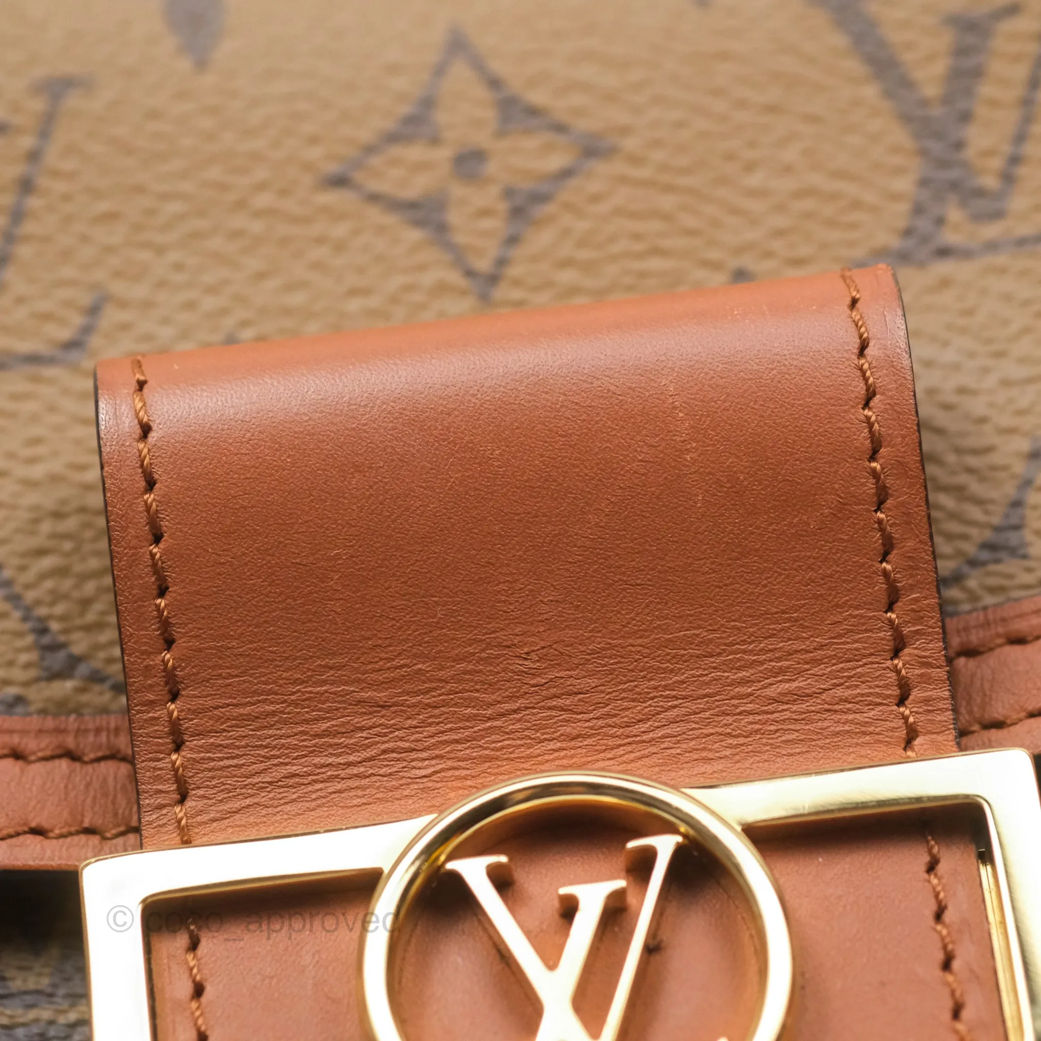 Louis Vuitton Monogram Dauphine Backpack