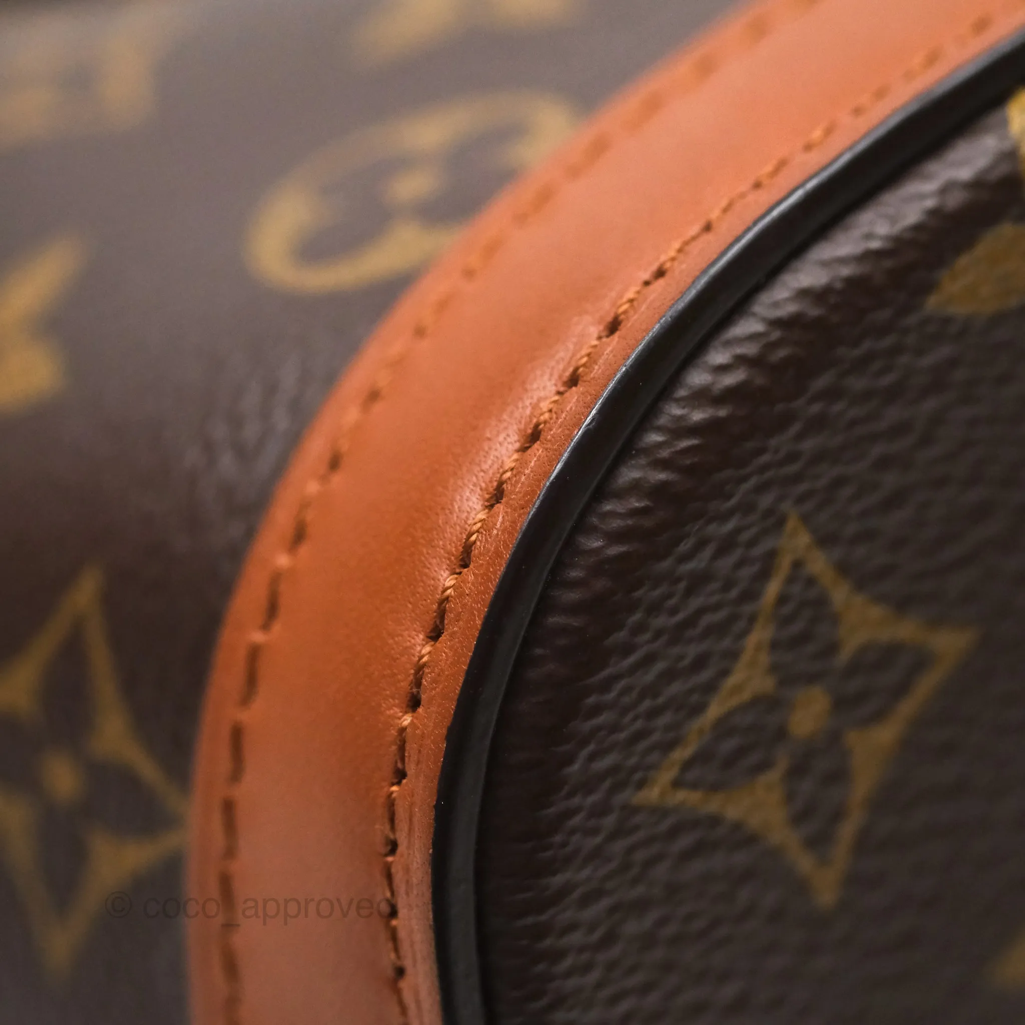 Louis Vuitton Monogram Dauphine Backpack