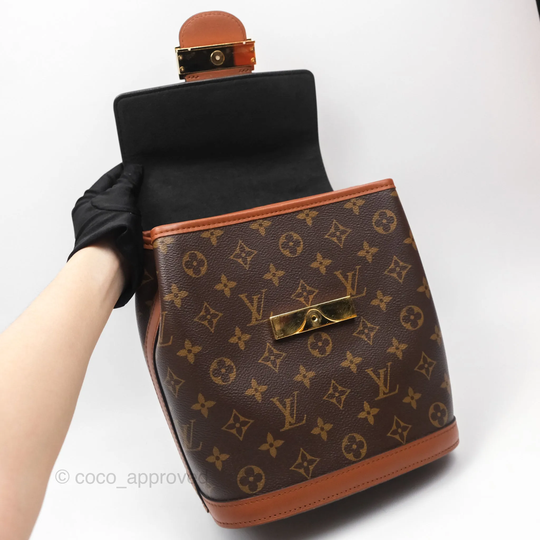 Louis Vuitton Monogram Dauphine Backpack