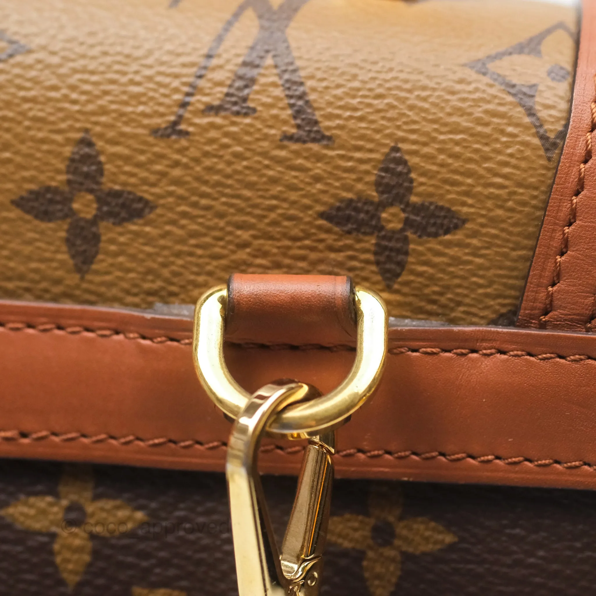 Louis Vuitton Monogram Dauphine Backpack