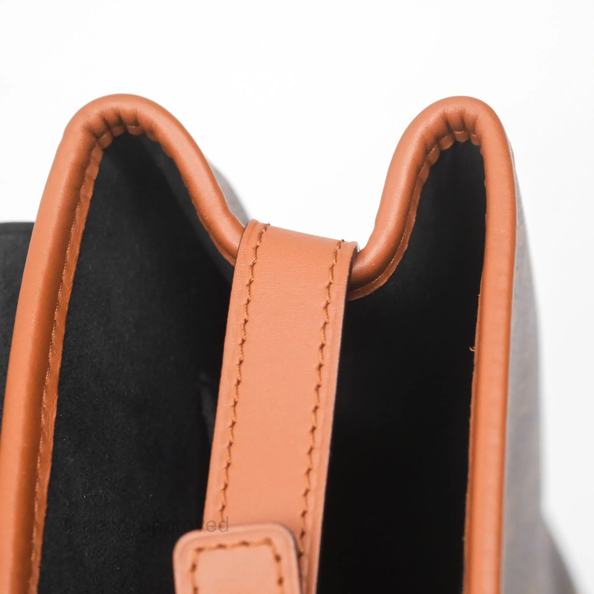 Louis Vuitton Monogram Dauphine Backpack