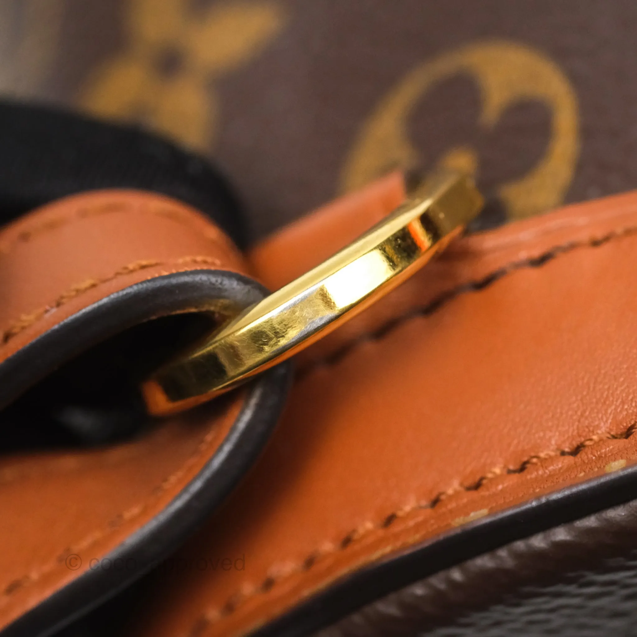 Louis Vuitton Monogram Dauphine Backpack