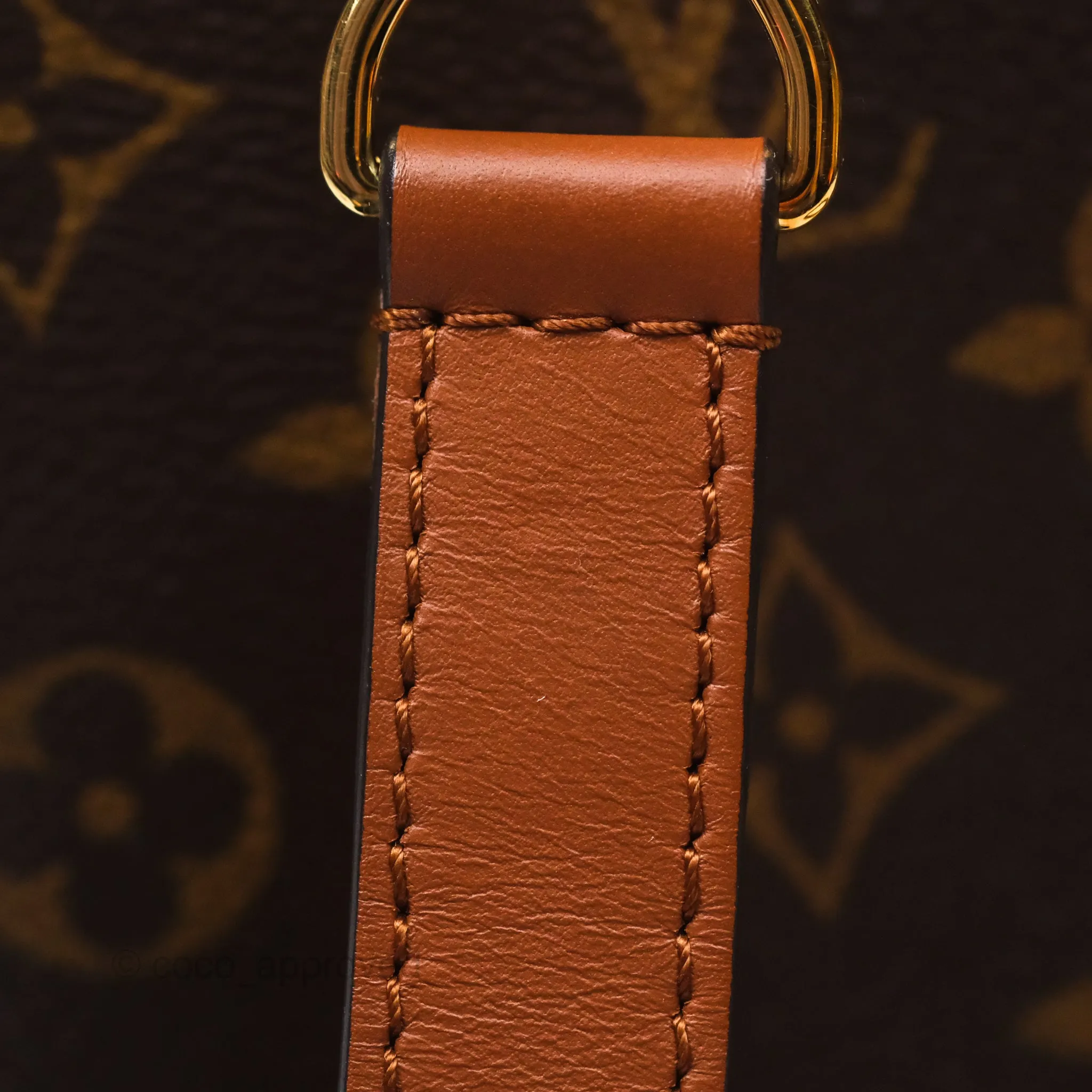 Louis Vuitton Monogram Dauphine Backpack