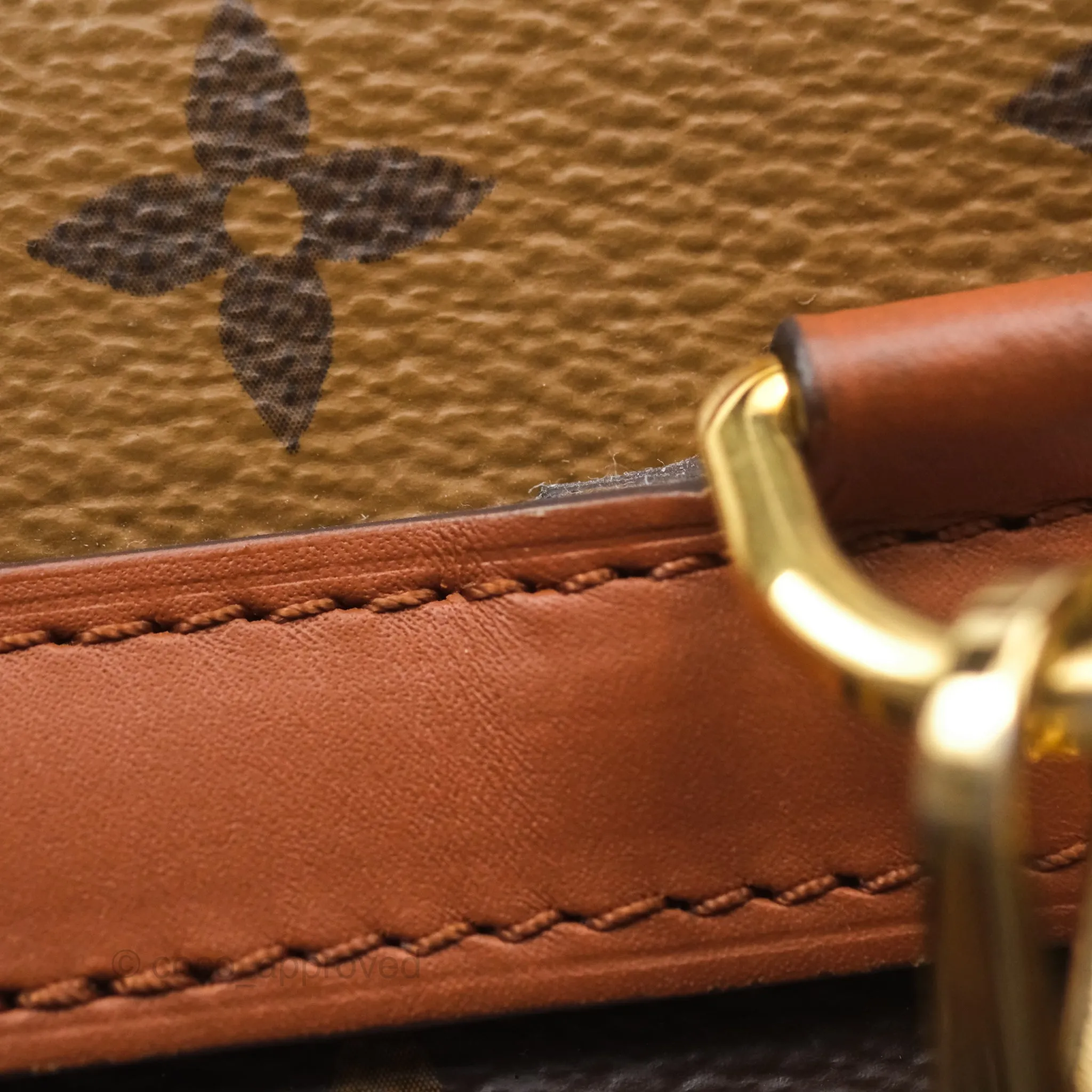 Louis Vuitton Monogram Dauphine Backpack