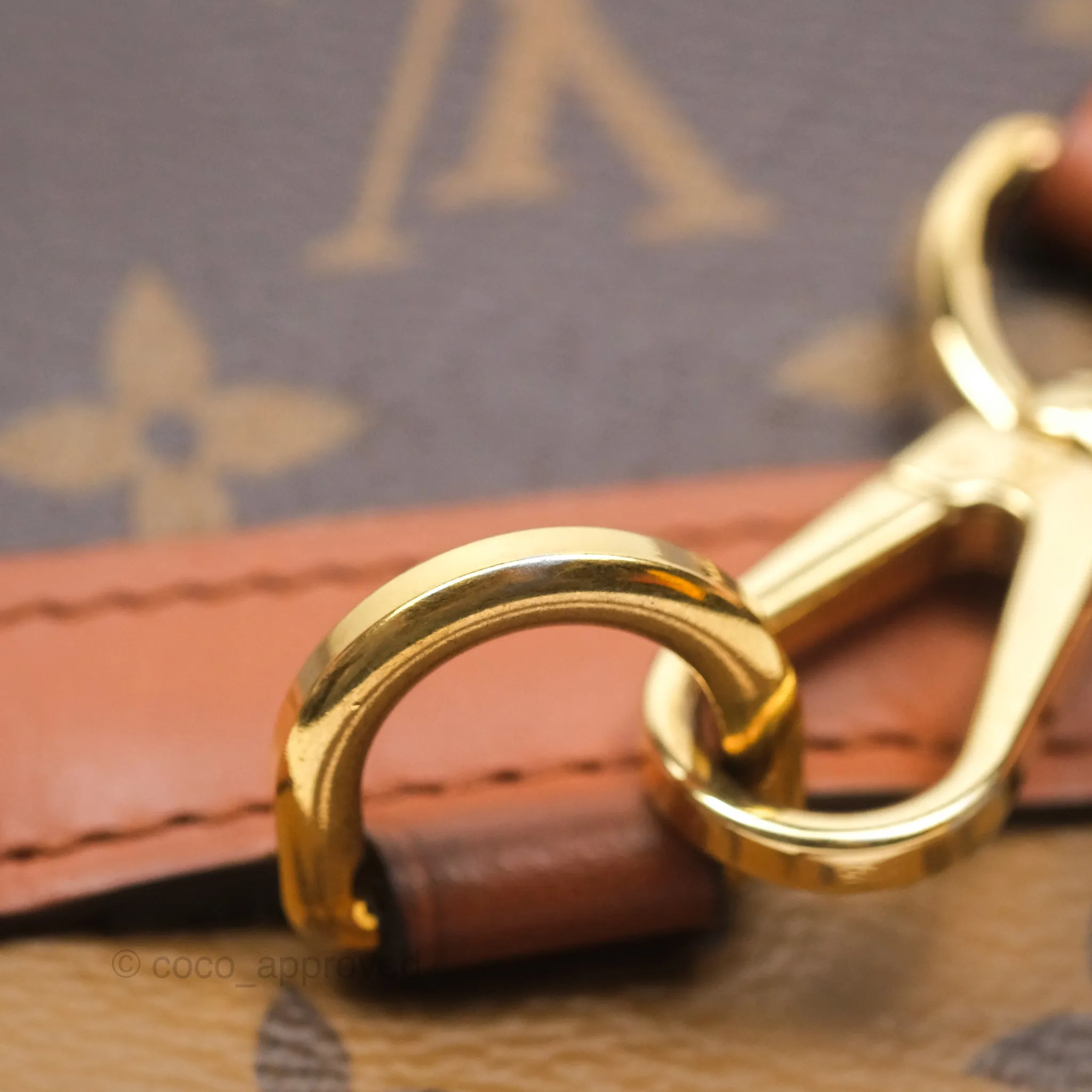 Louis Vuitton Monogram Dauphine Backpack