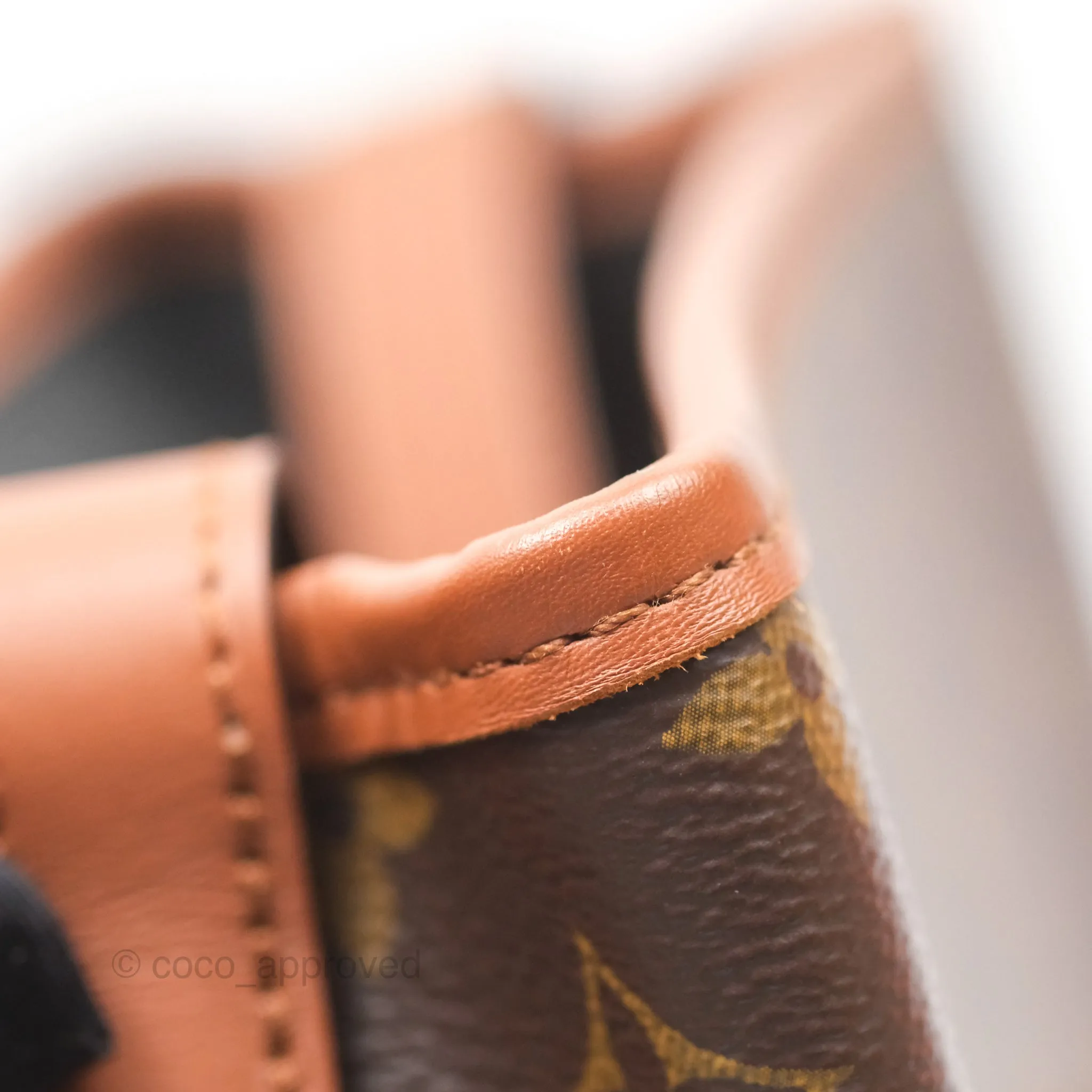 Louis Vuitton Monogram Dauphine Backpack