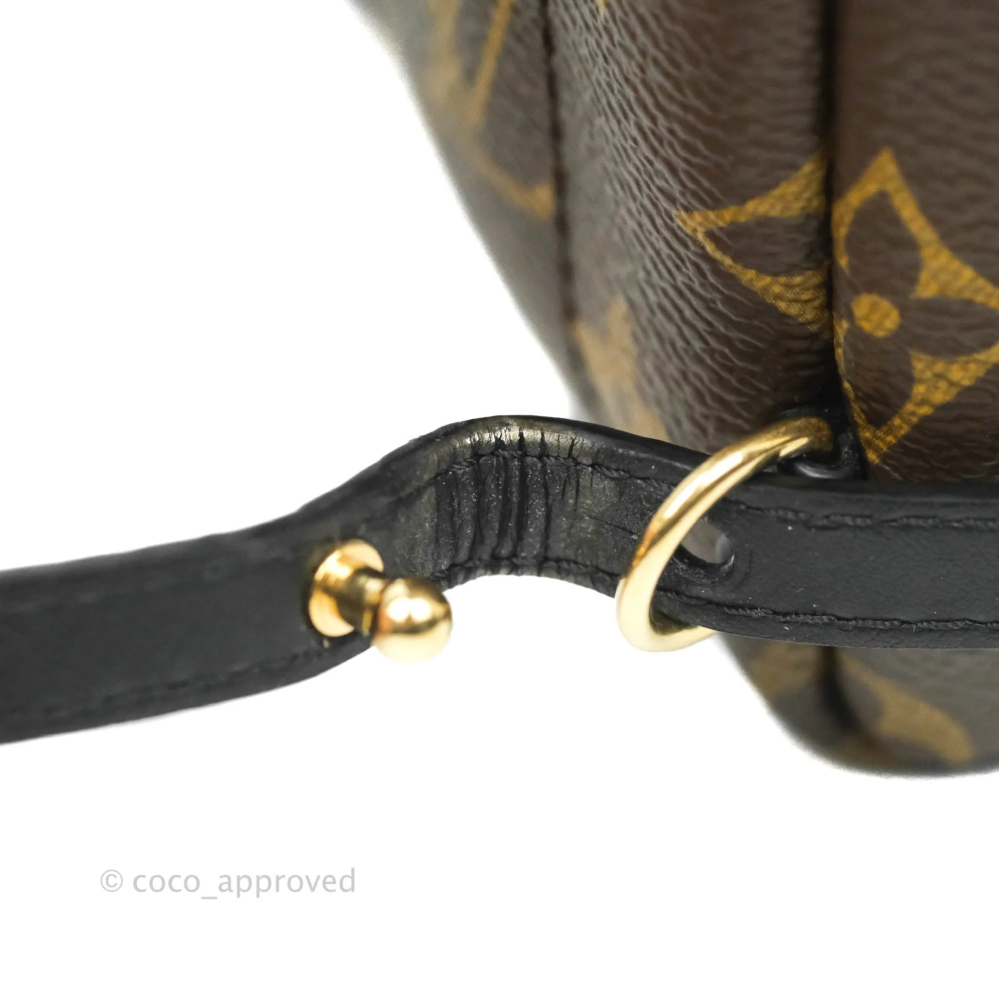Louis Vuitton Monogram Mini Palm Springs Backpack