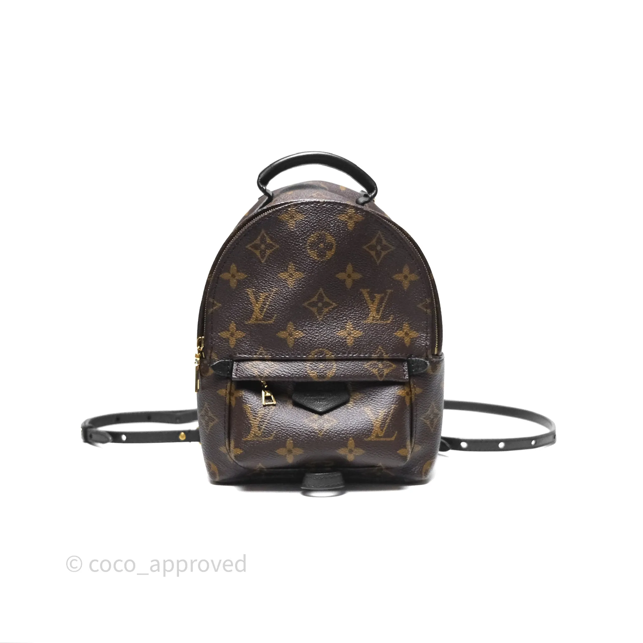Louis Vuitton Monogram Mini Palm Springs Backpack