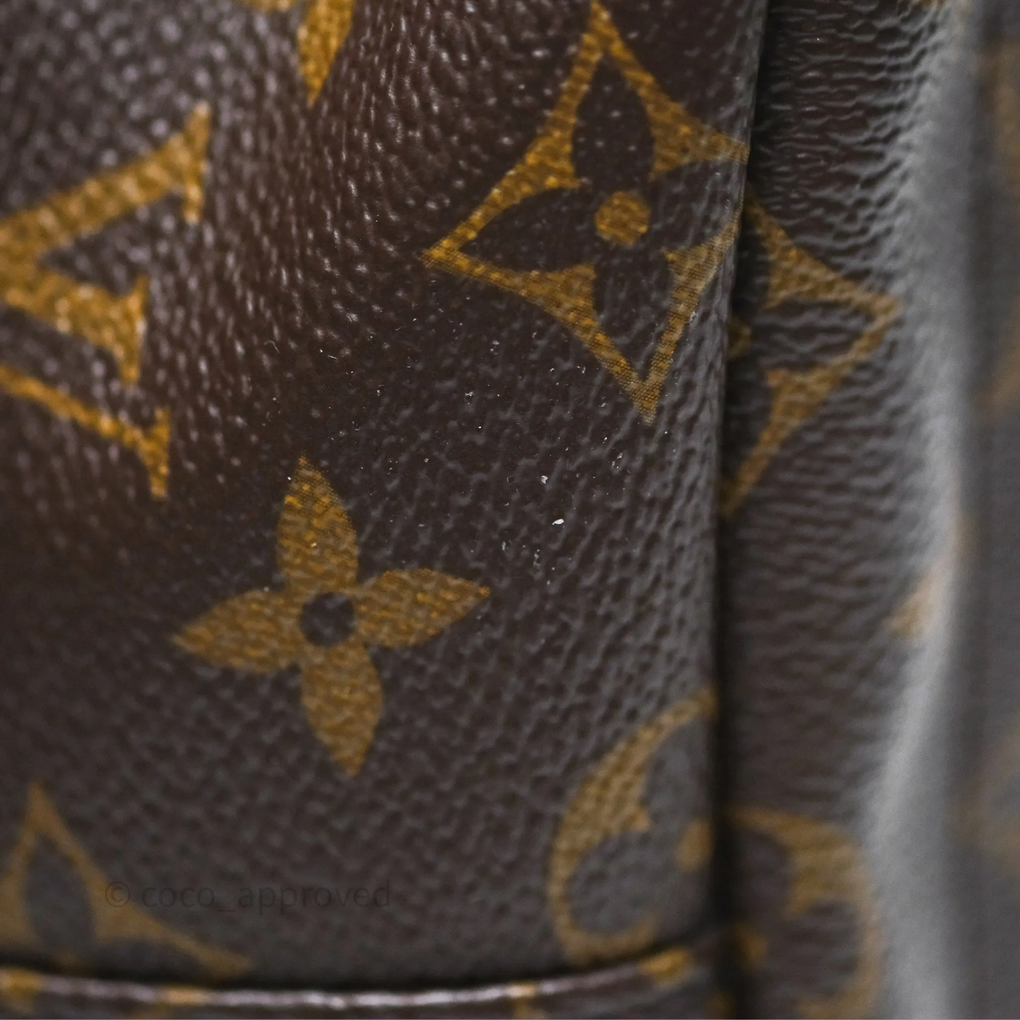 Louis Vuitton Monogram Mini Palm Springs Backpack