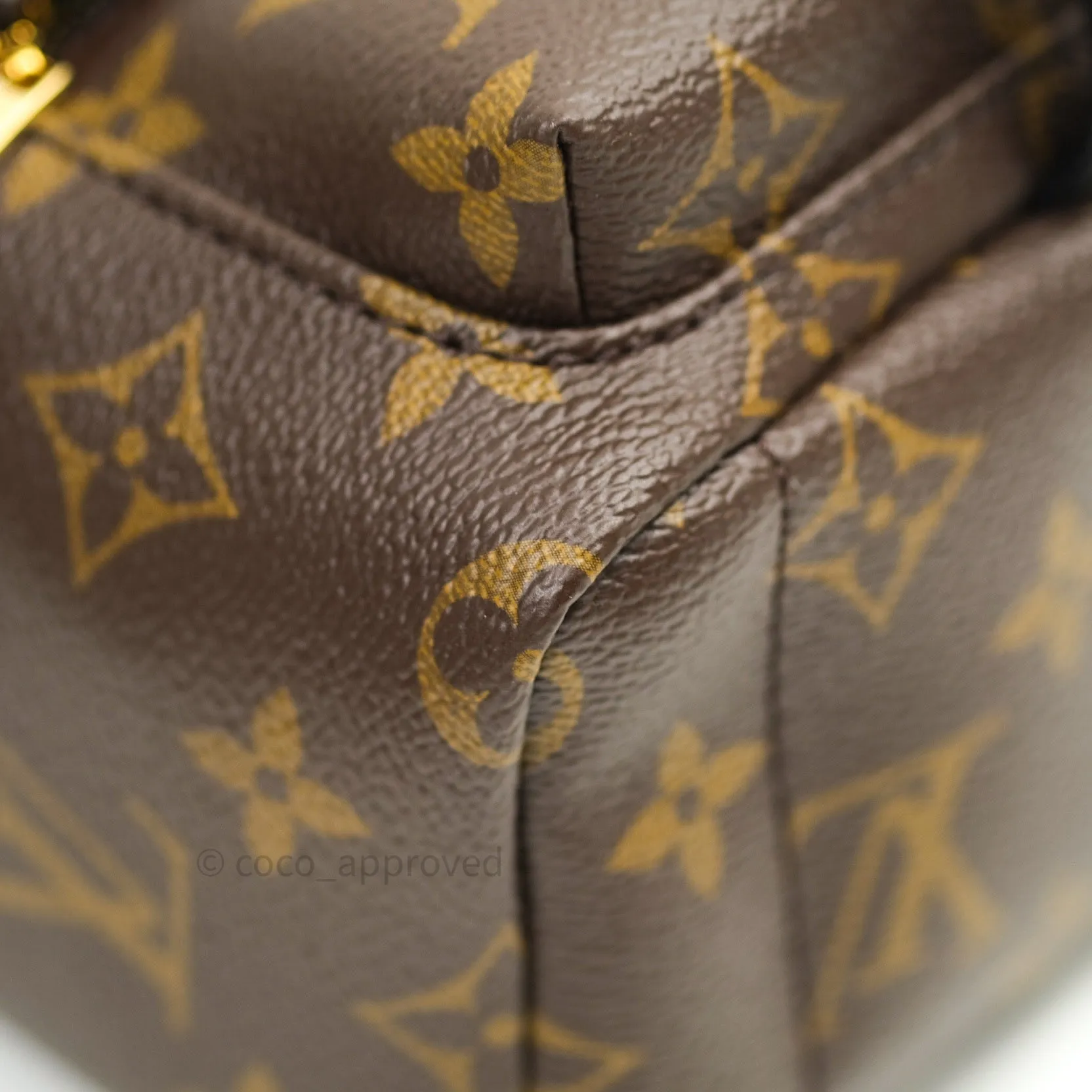 Louis Vuitton Monogram Mini Palm Springs Backpack