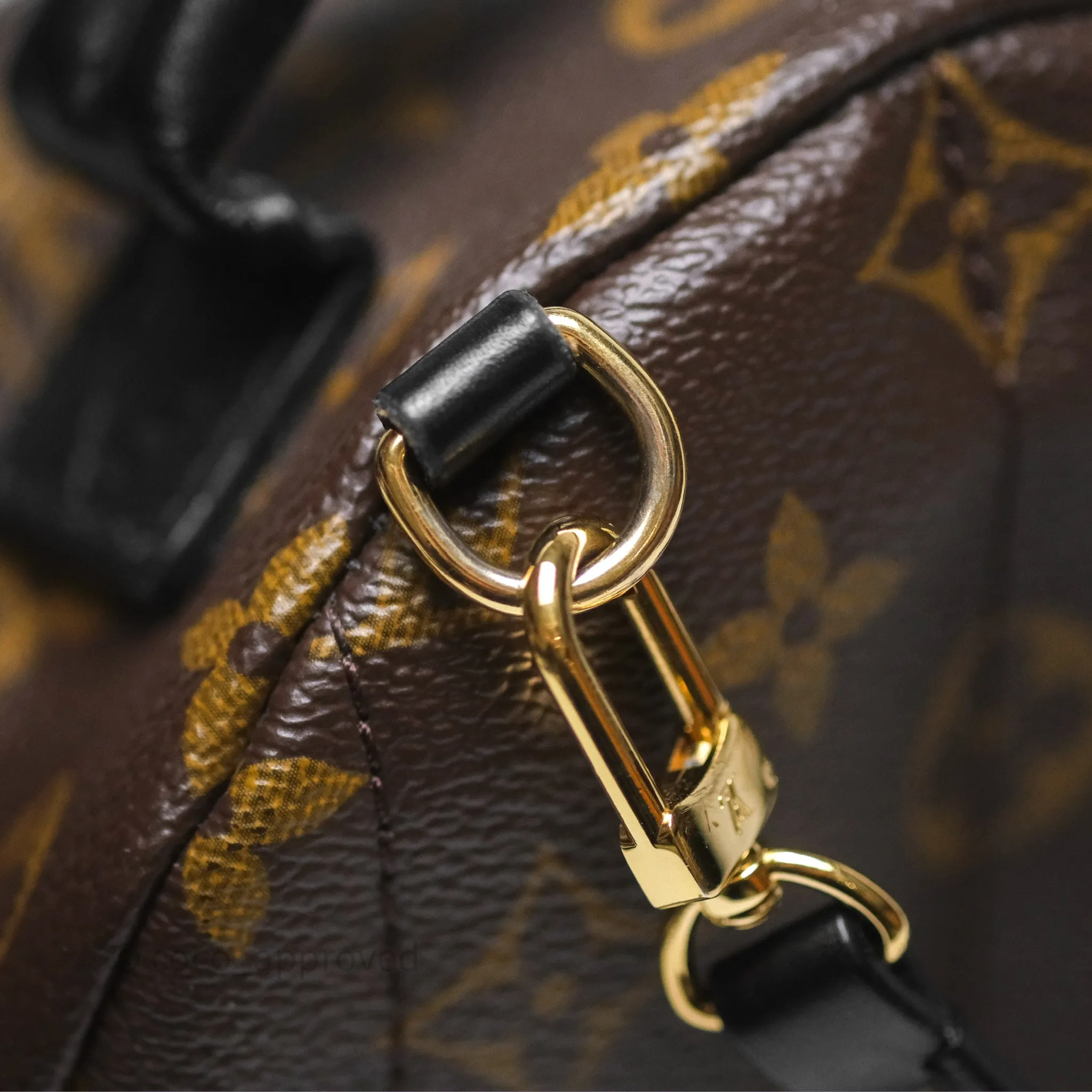 Louis Vuitton Monogram Mini Palm Springs Backpack