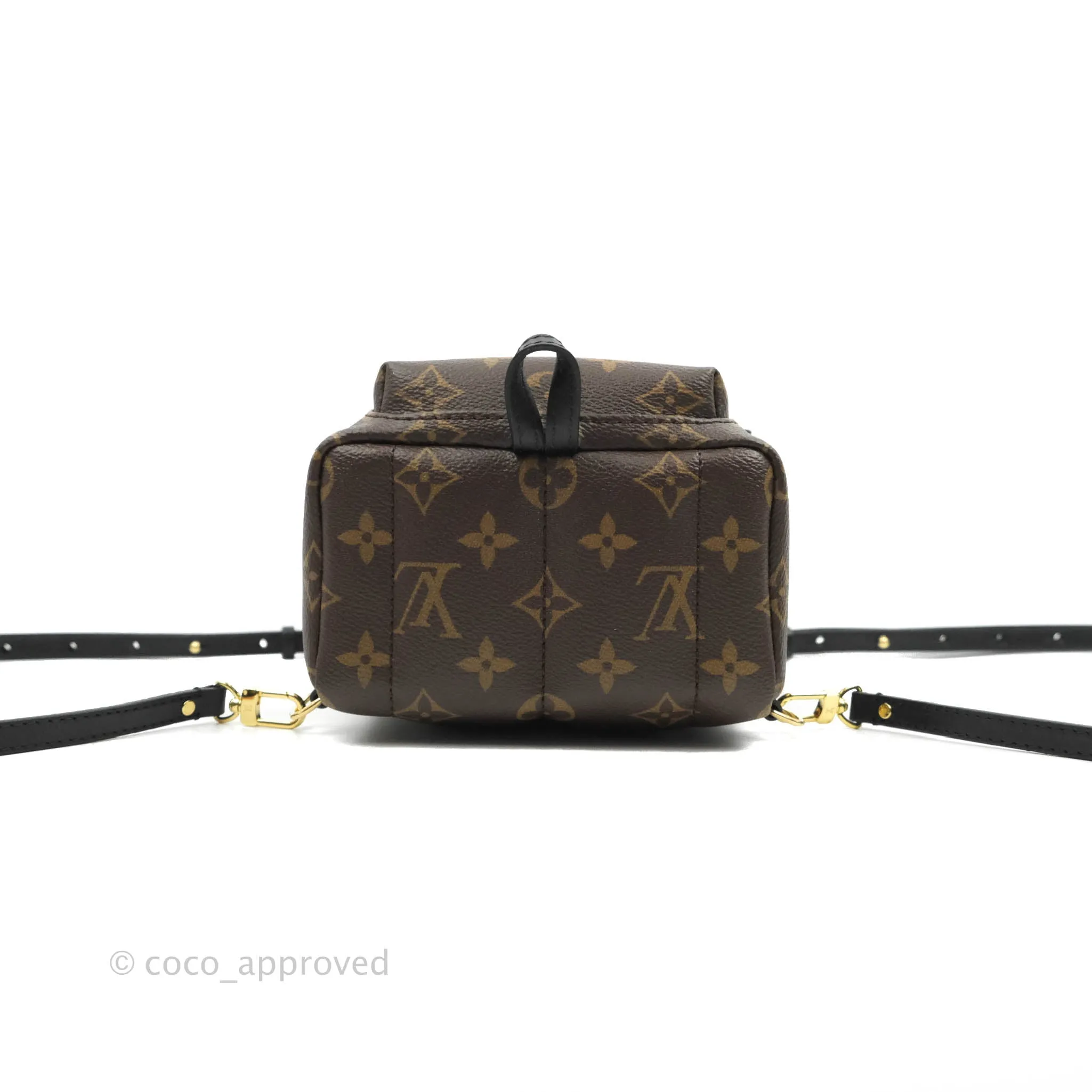 Louis Vuitton Monogram Mini Palm Springs Backpack