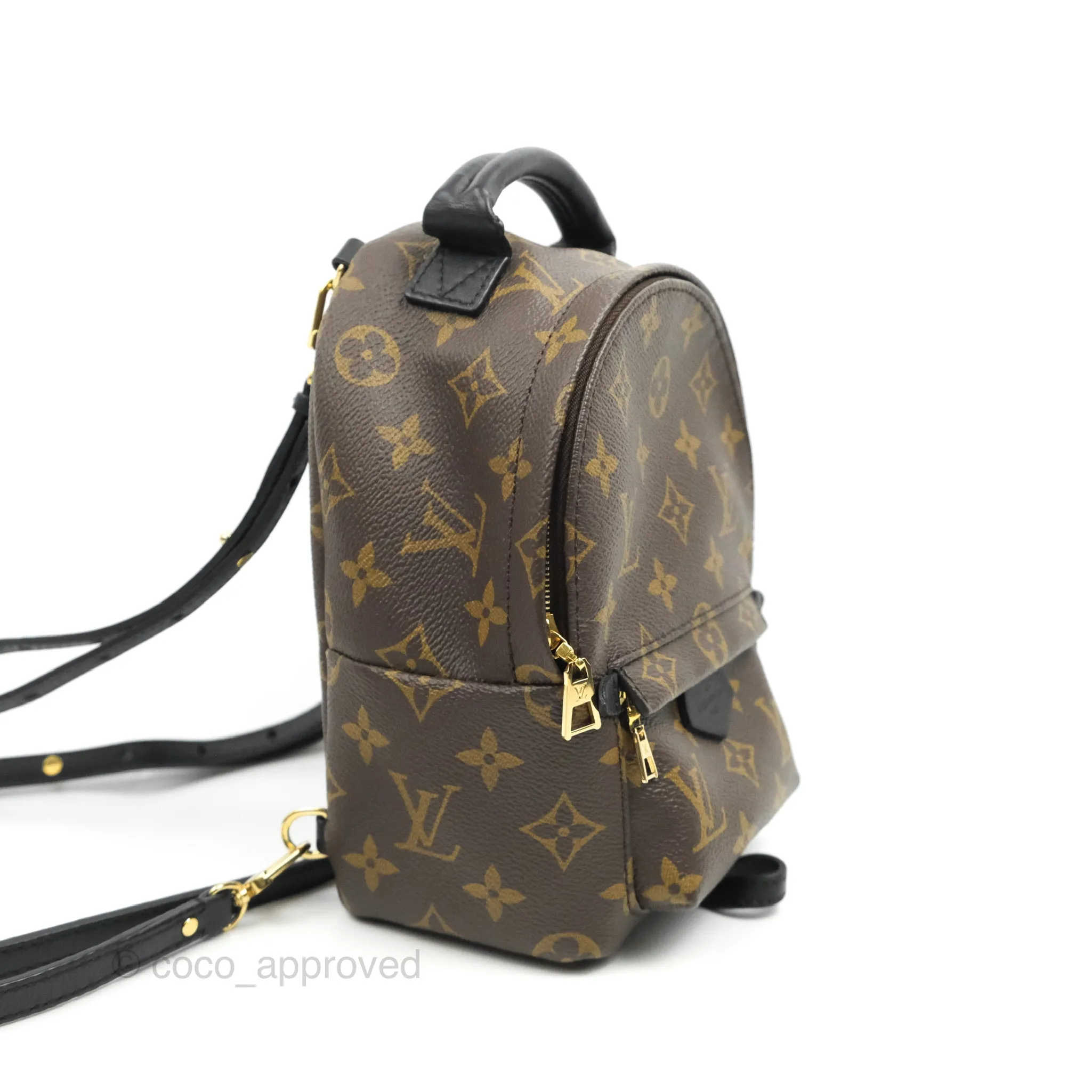 Louis Vuitton Monogram Mini Palm Springs Backpack