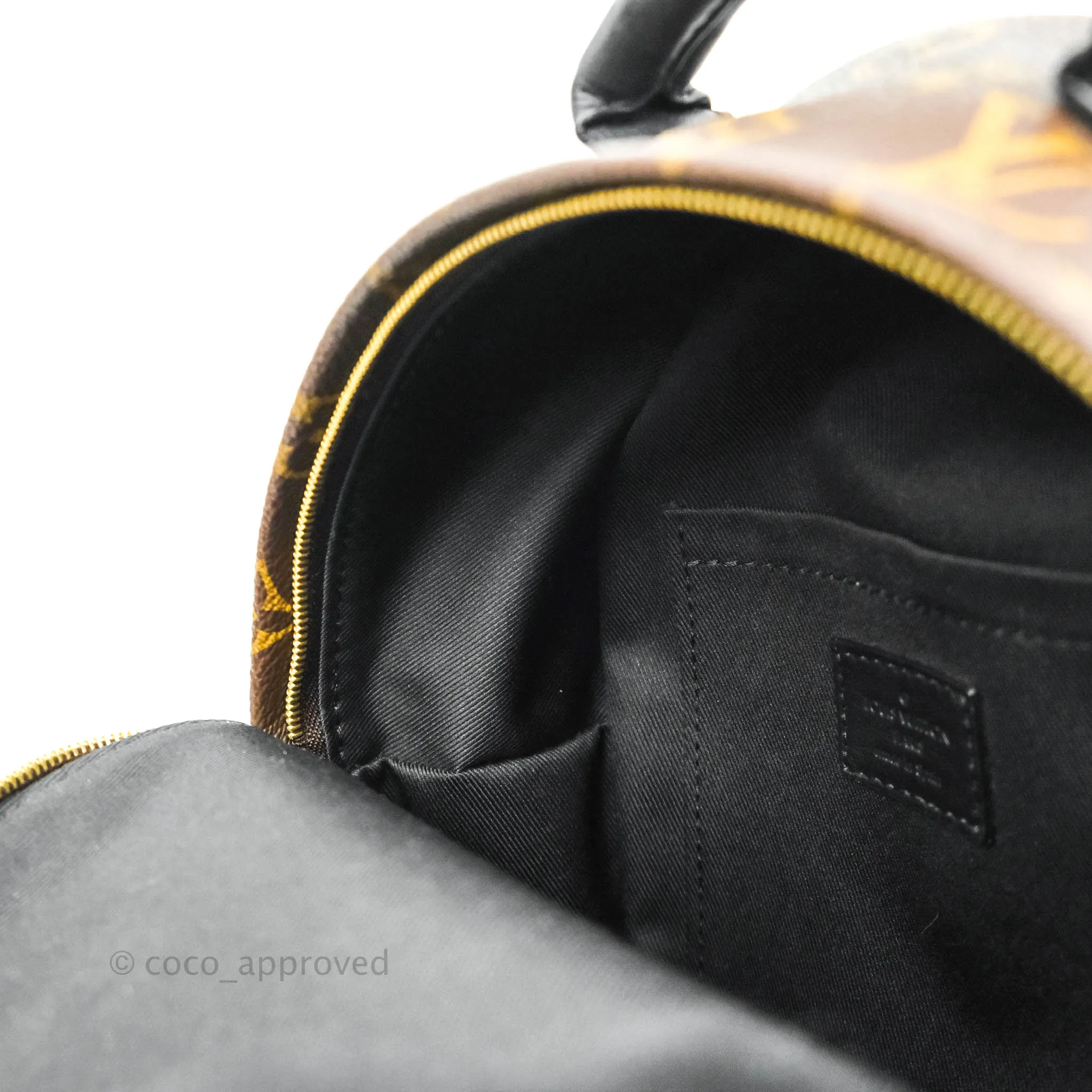 Louis Vuitton Monogram Mini Palm Springs Backpack