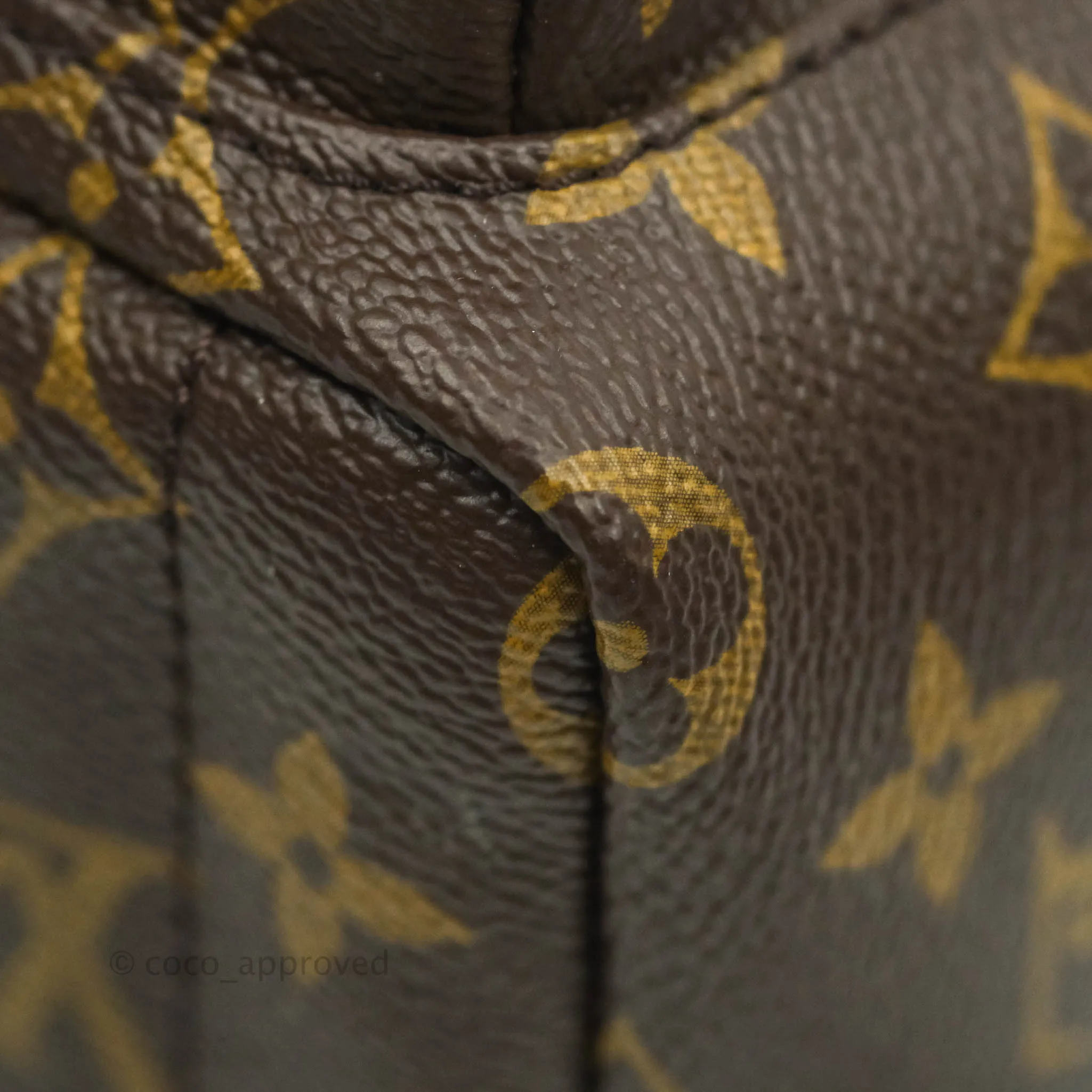 Louis Vuitton Monogram Mini Palm Springs Backpack