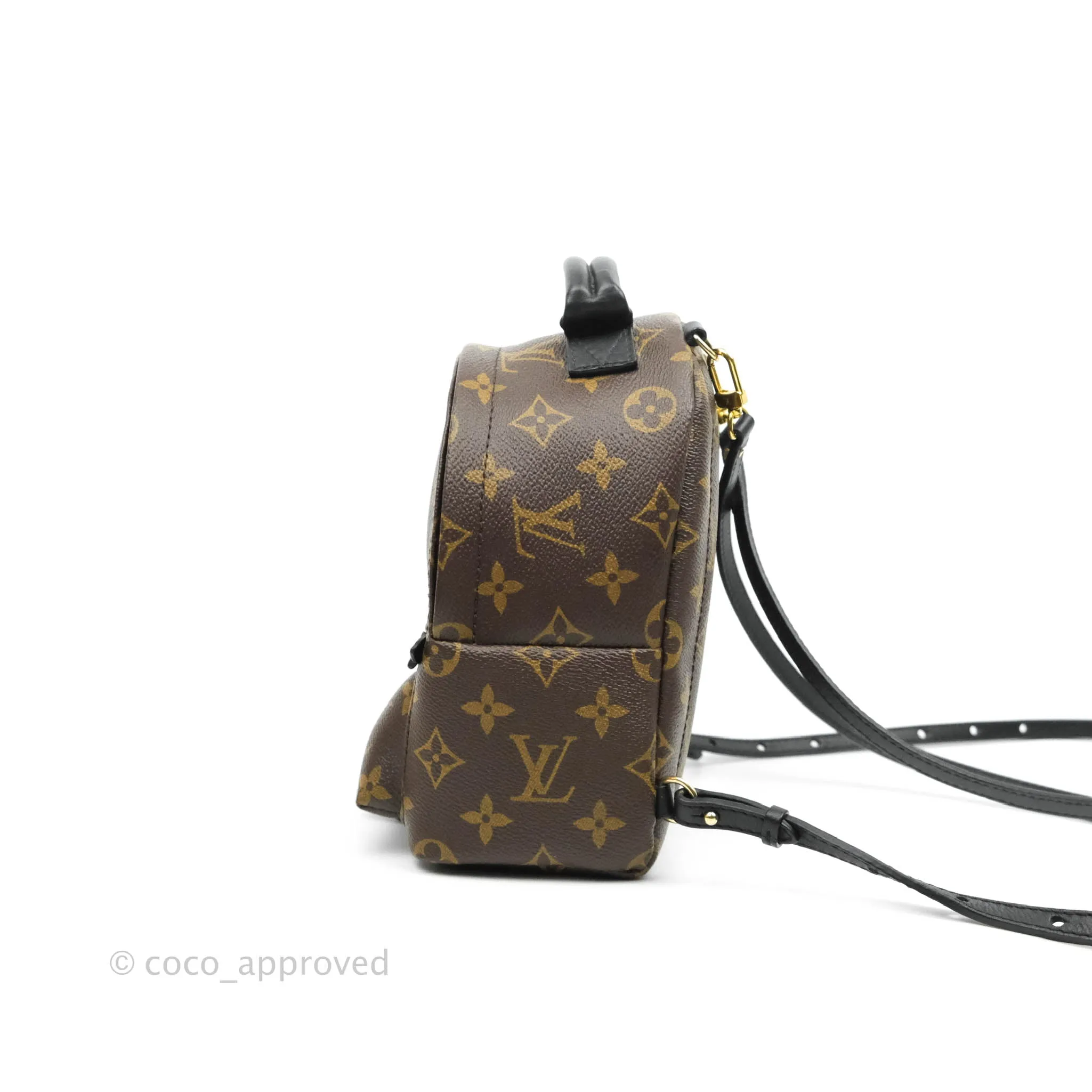Louis Vuitton Monogram Mini Palm Springs Backpack