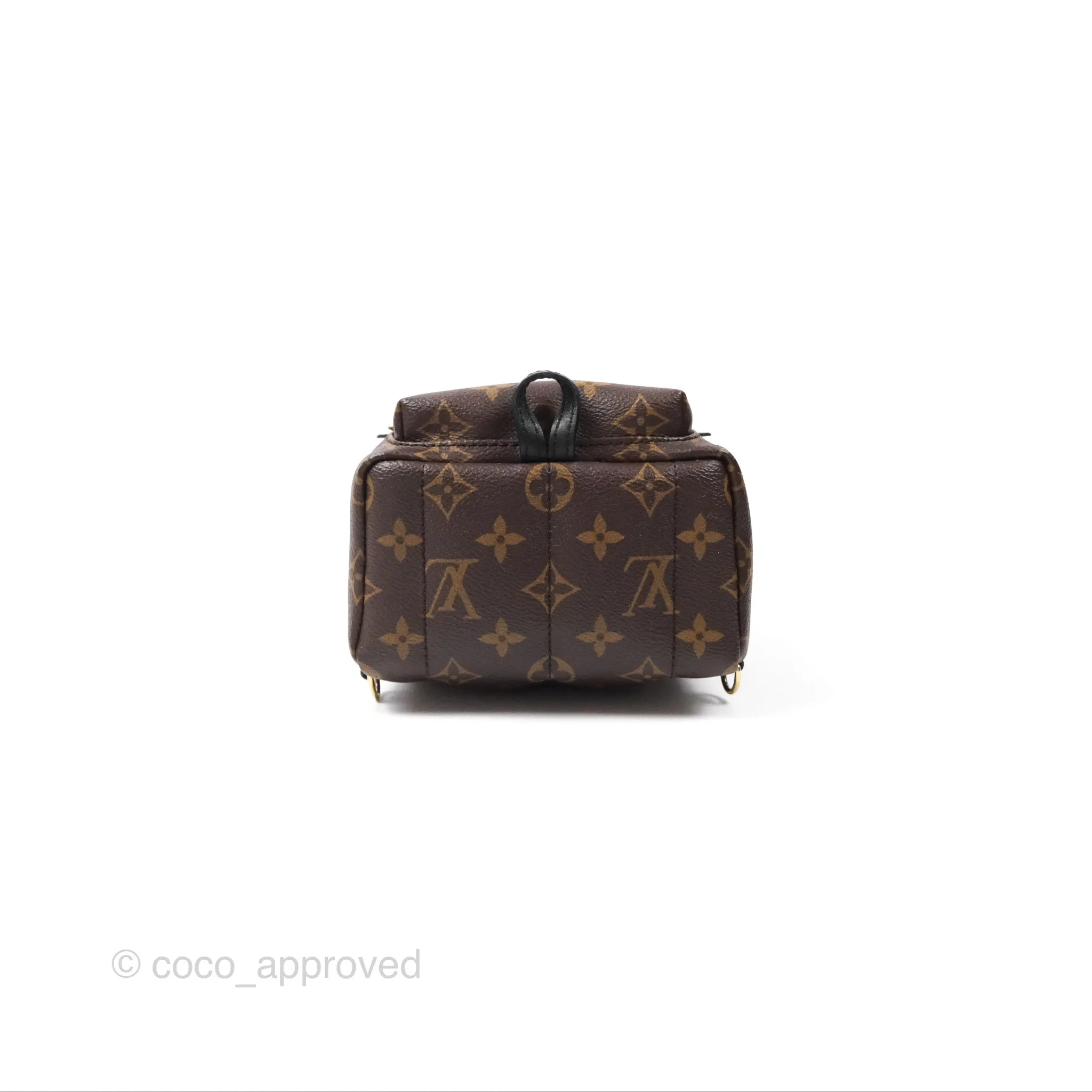 Louis Vuitton Monogram Mini Palm Springs Backpack
