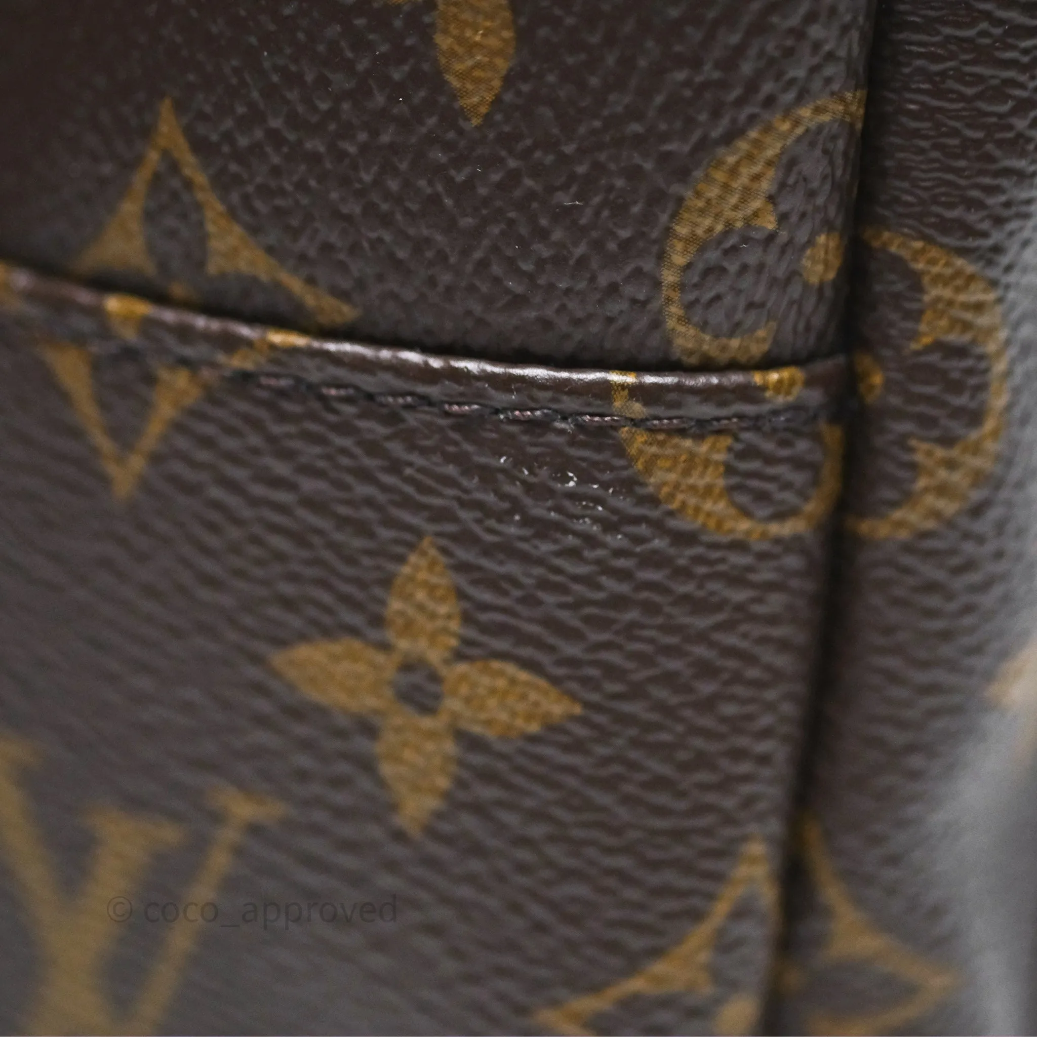 Louis Vuitton Monogram Mini Palm Springs Backpack