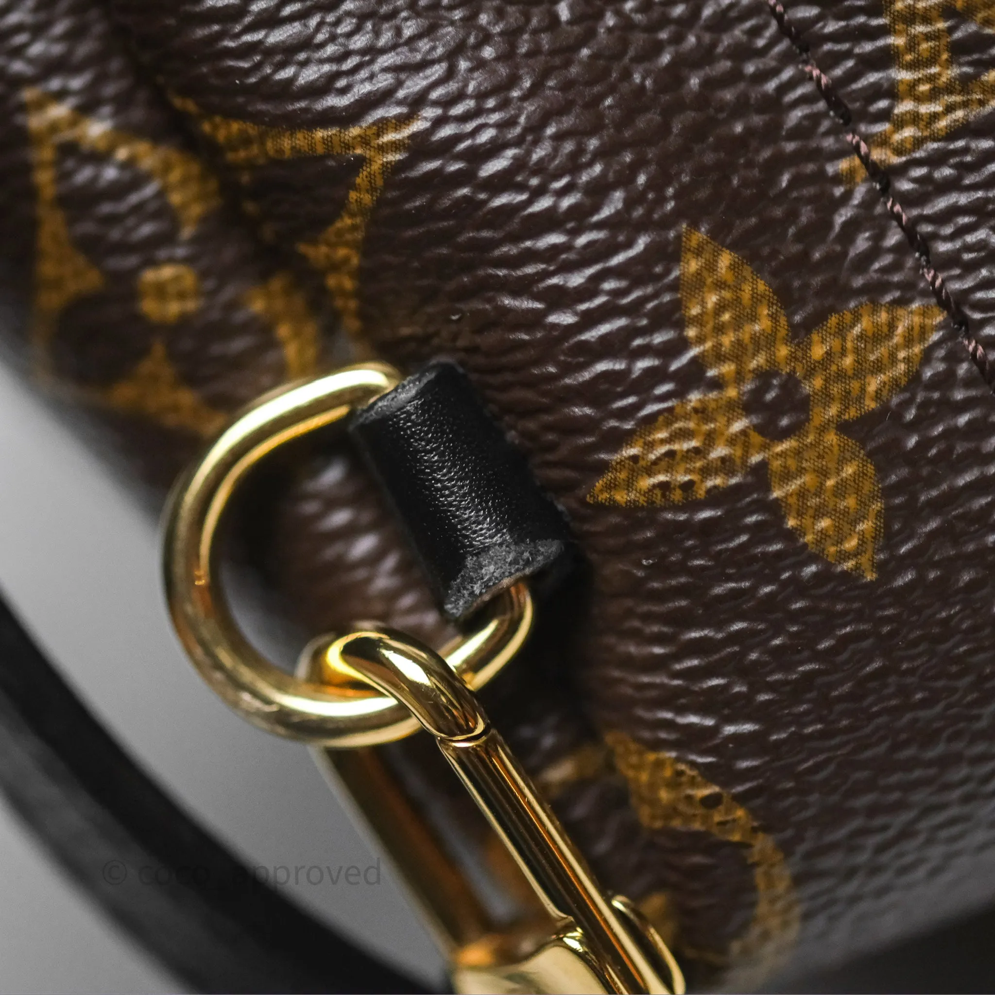 Louis Vuitton Monogram Mini Palm Springs Backpack