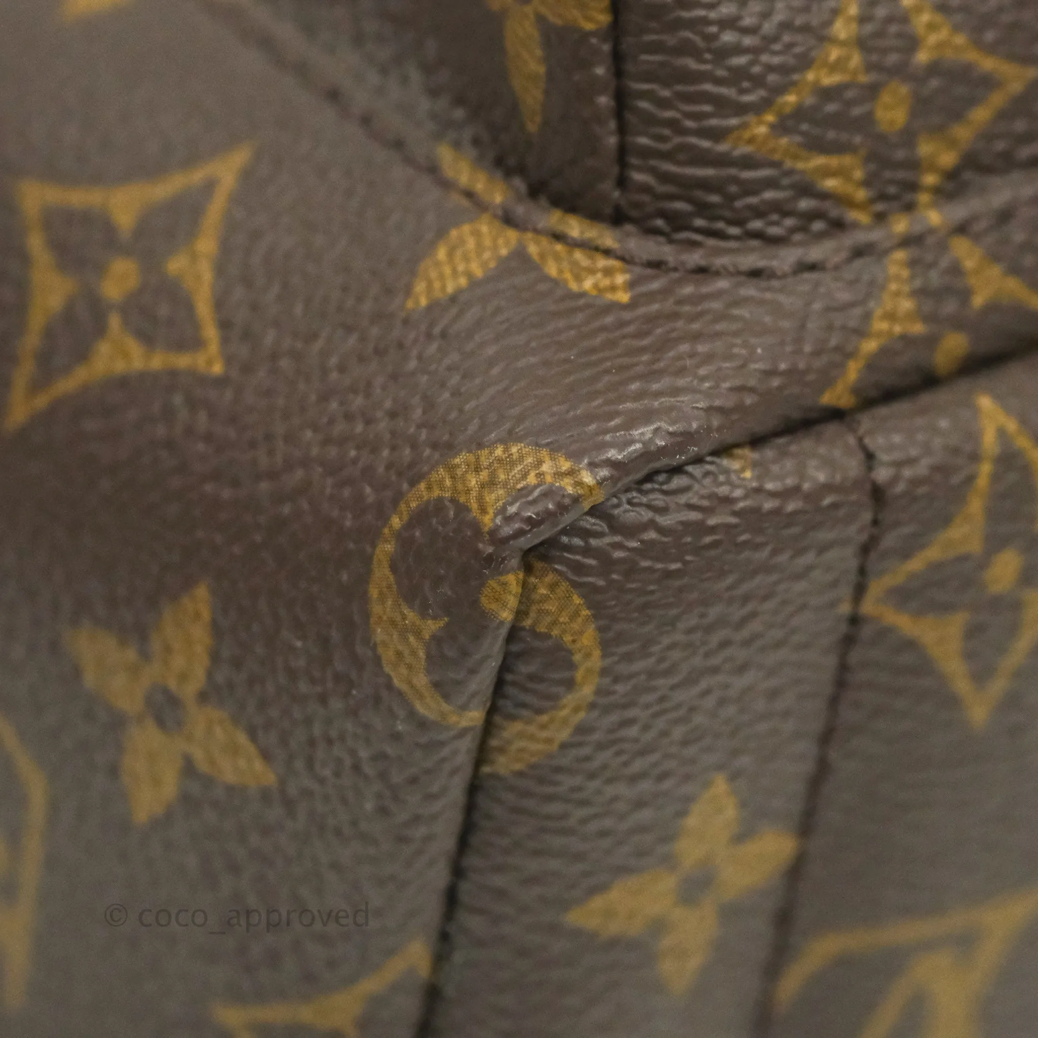 Louis Vuitton Monogram Mini Palm Springs Backpack