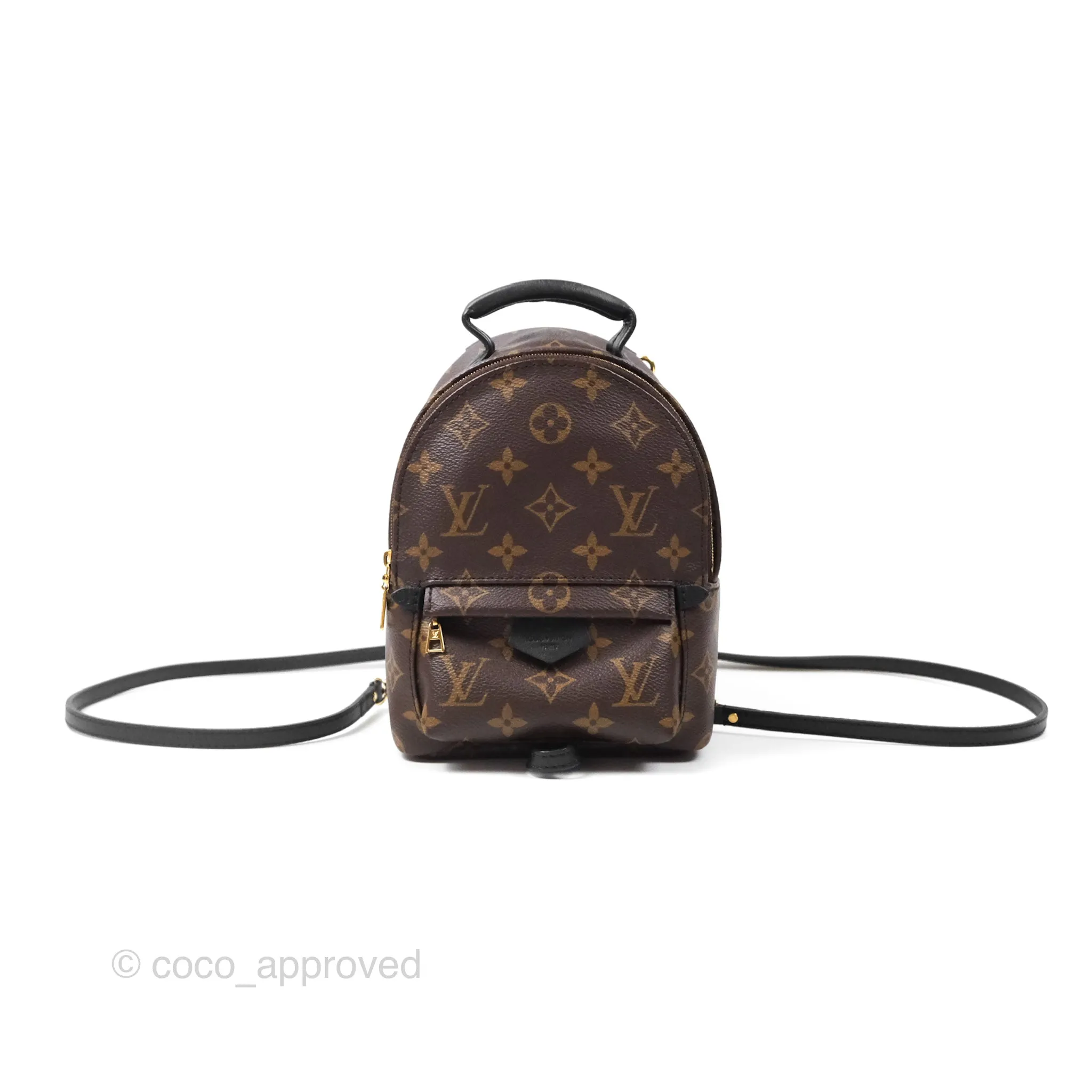 Louis Vuitton Monogram Mini Palm Springs Backpack