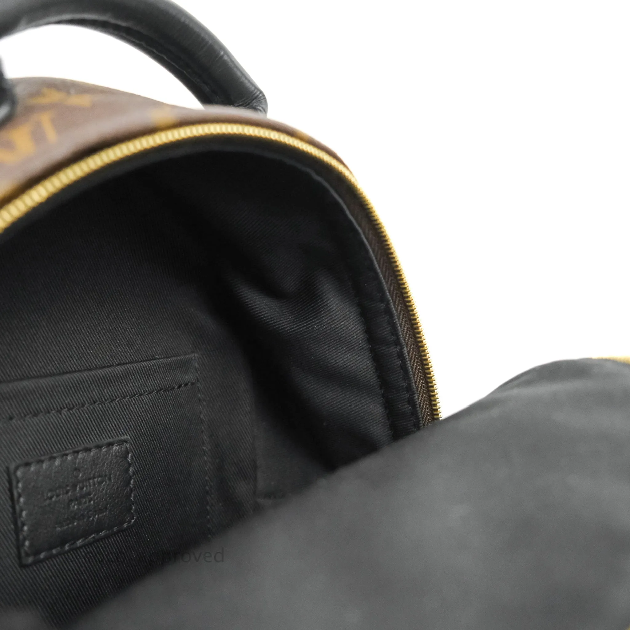 Louis Vuitton Monogram Mini Palm Springs Backpack